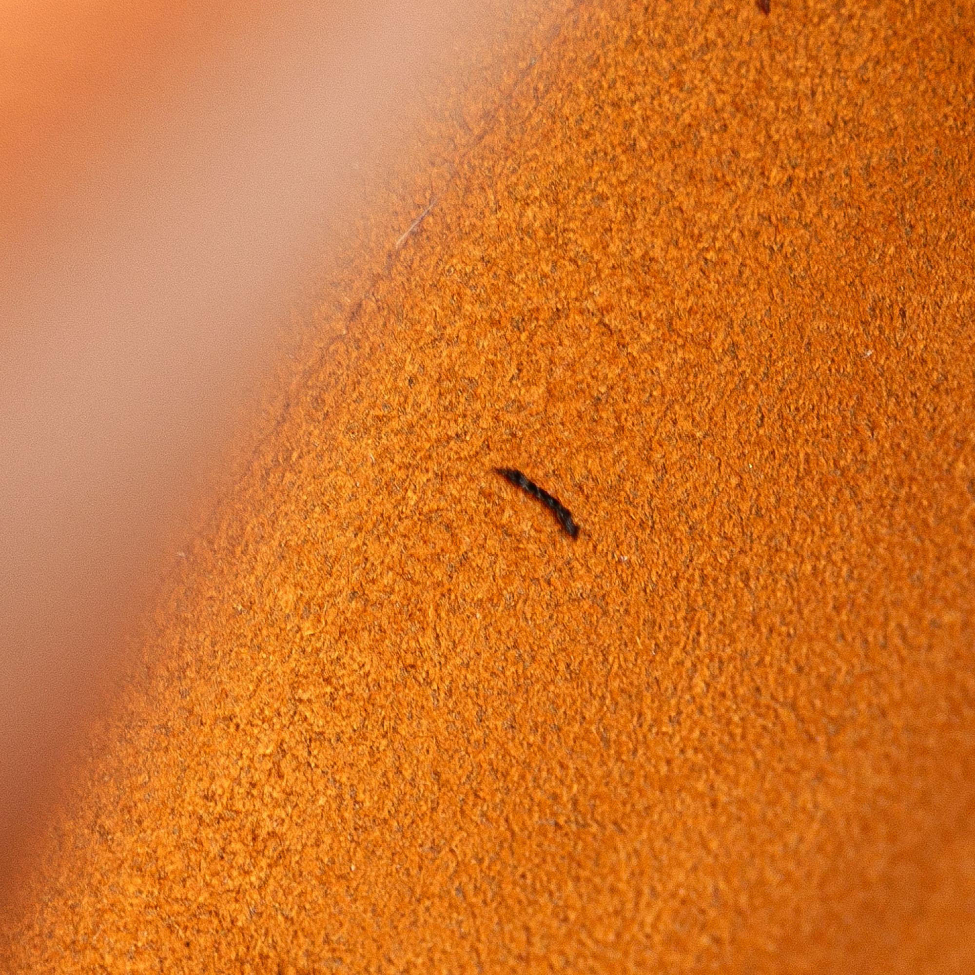 Louis Vuitton Monogram Musette Salsa Short Strap