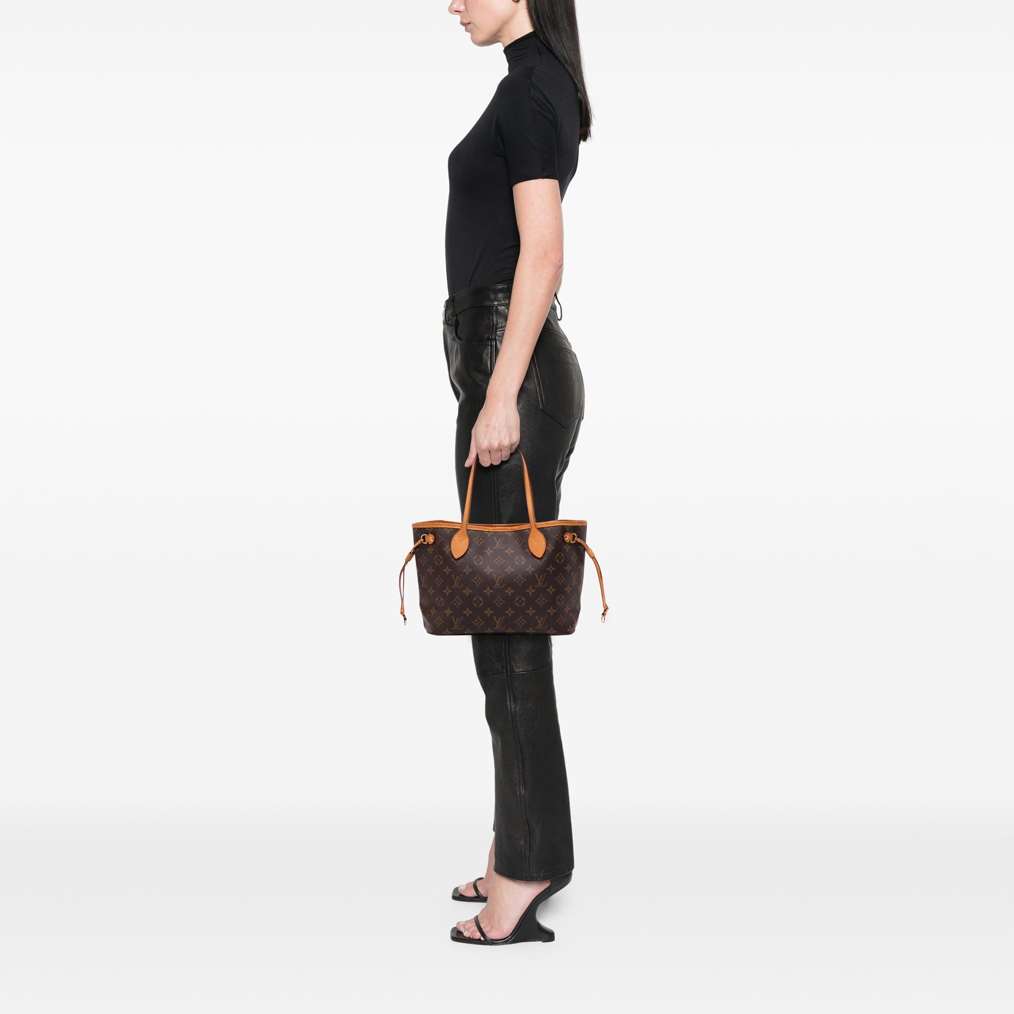 Louis Vuitton Monogram Neverfull PM