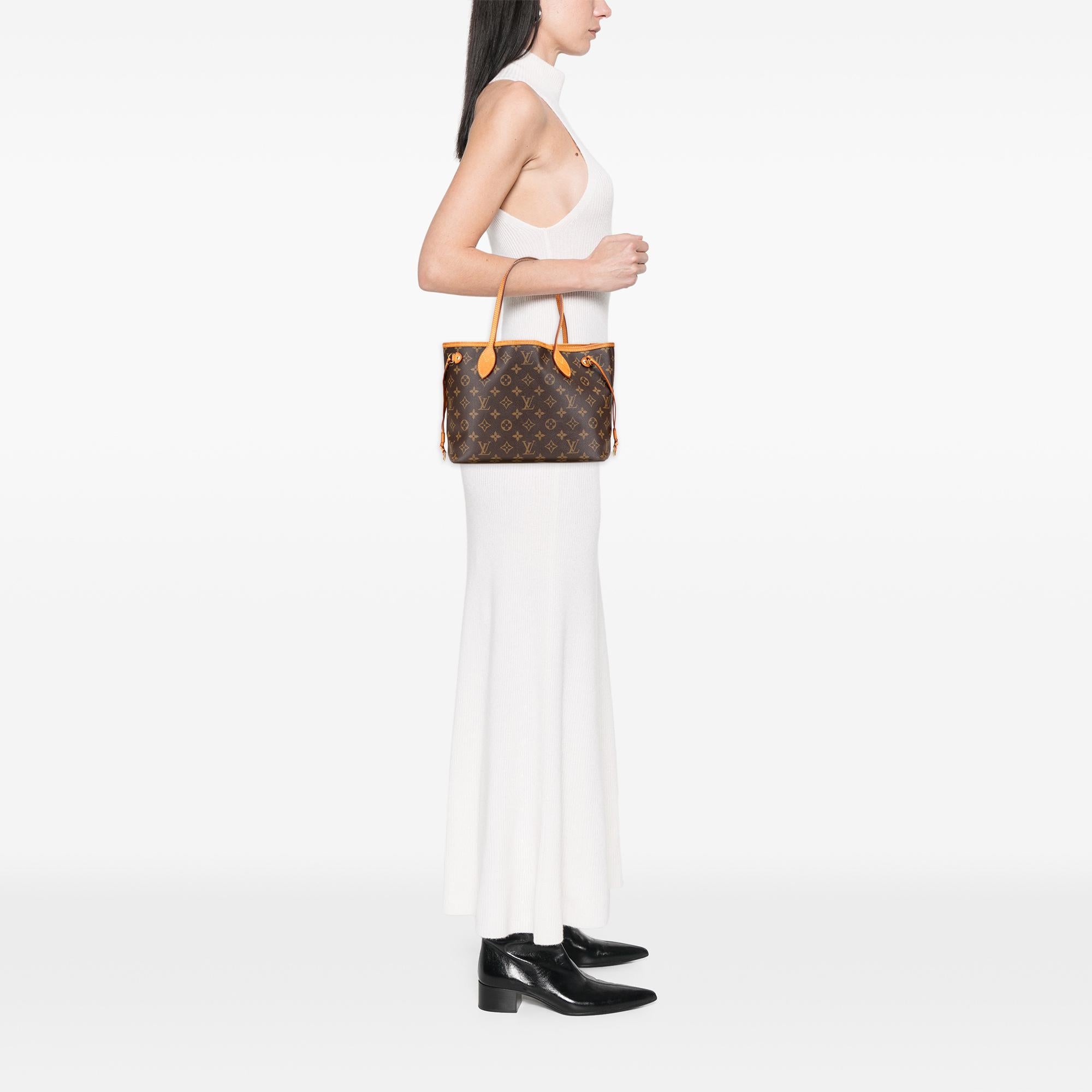 Louis Vuitton Monogram Neverfull PM