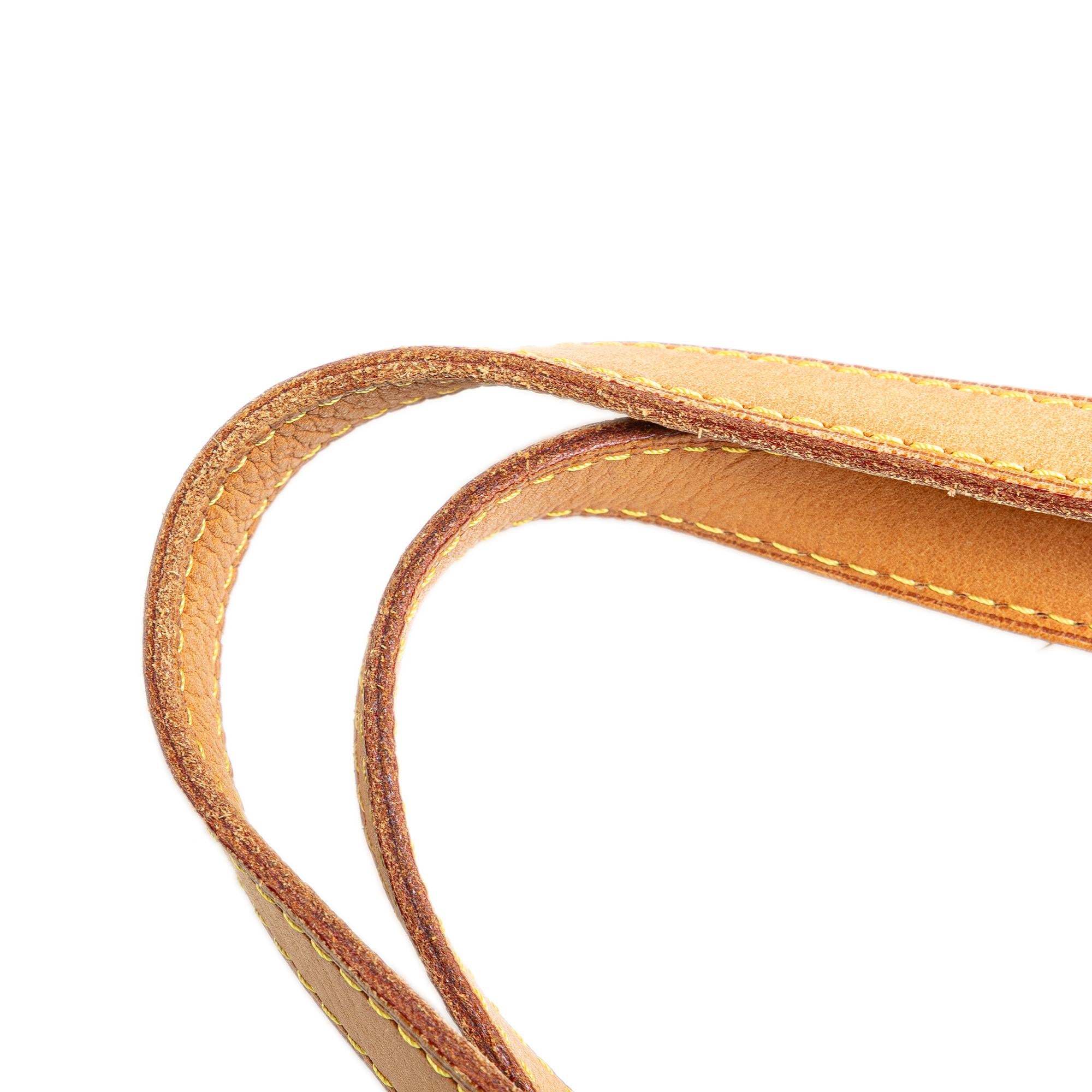 Louis Vuitton Monogram Palermo GM