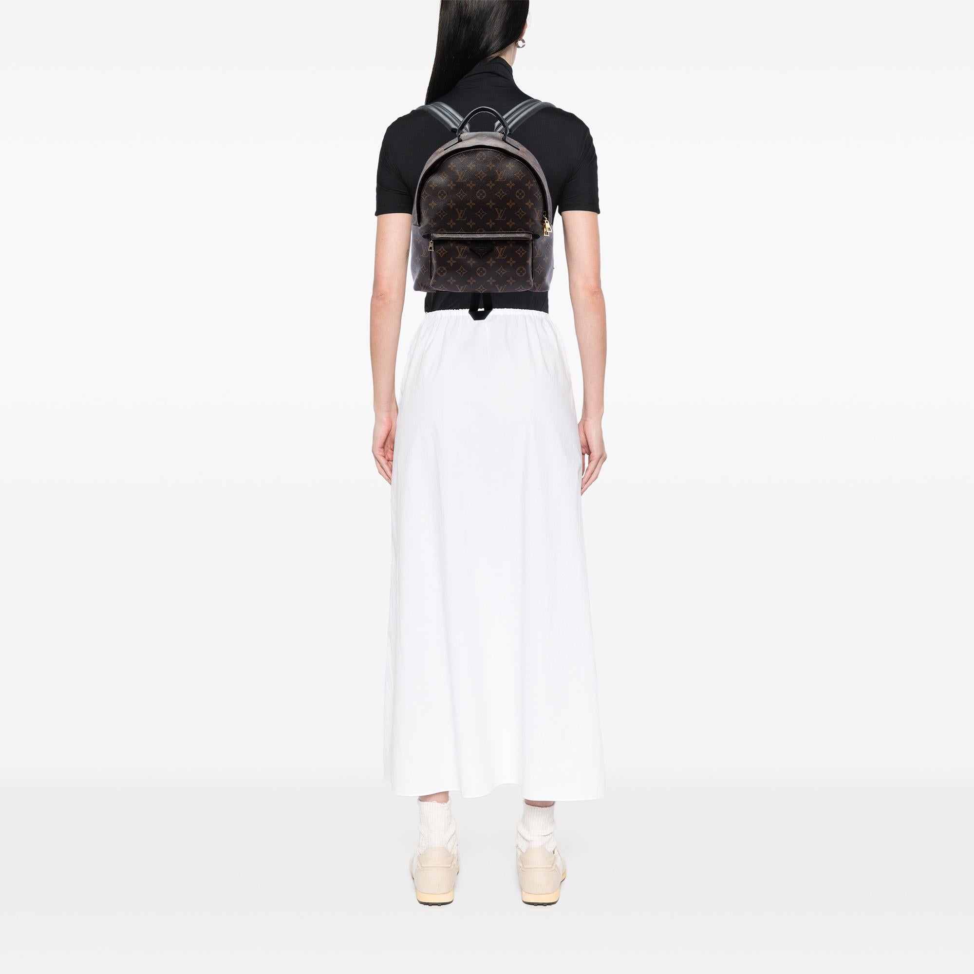 Louis Vuitton Monogram Palm Springs MM