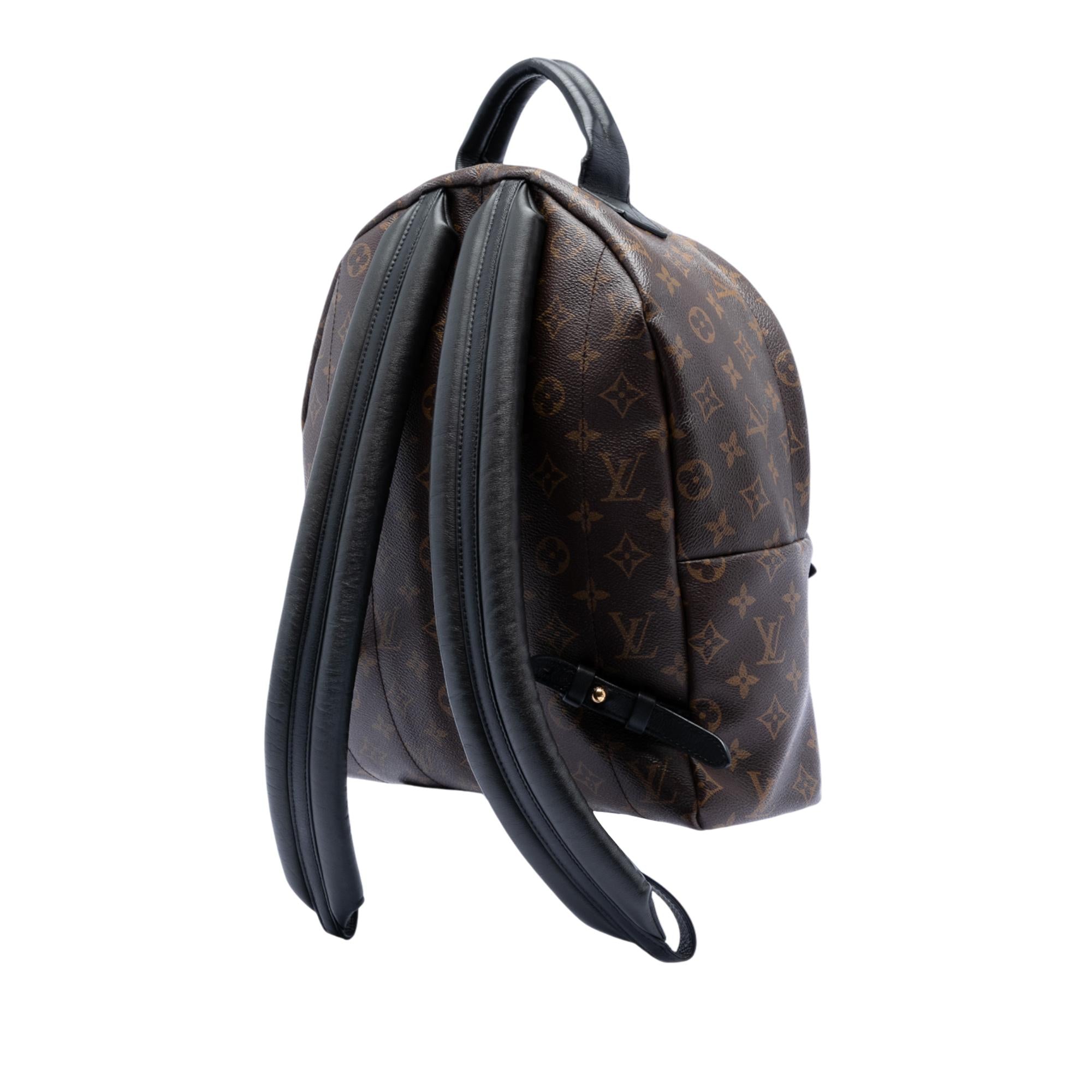 Louis Vuitton Monogram Palm Springs MM