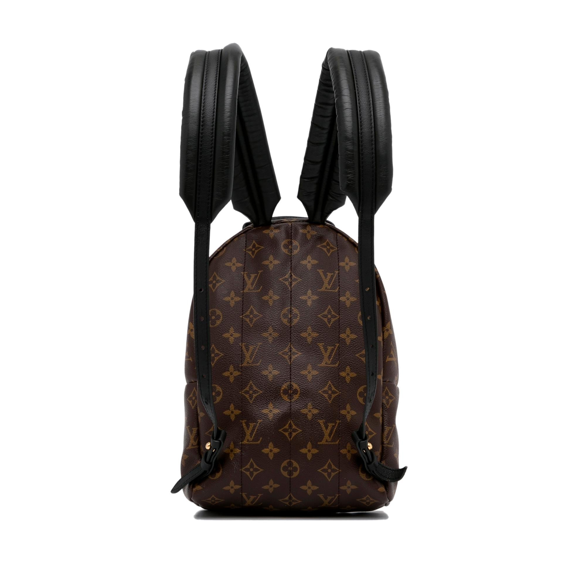 Louis Vuitton Monogram Palm Springs PM (SHG-Y129BK)
