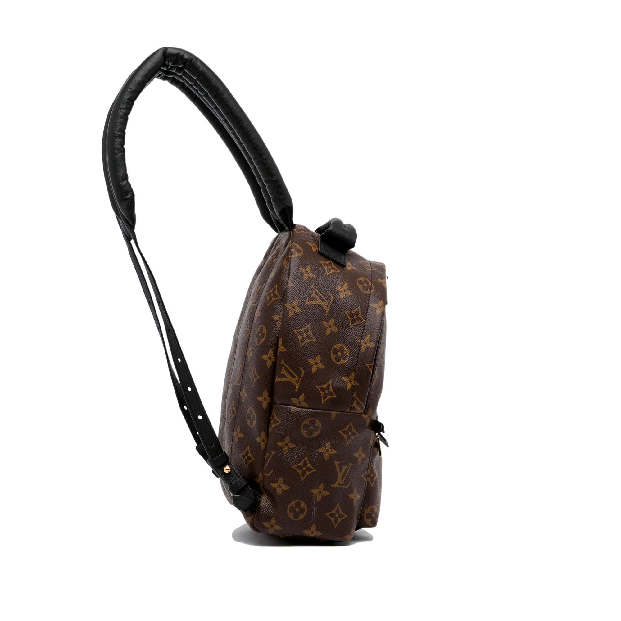 Louis Vuitton Monogram Palm Springs PM (SHG-Y129BK)