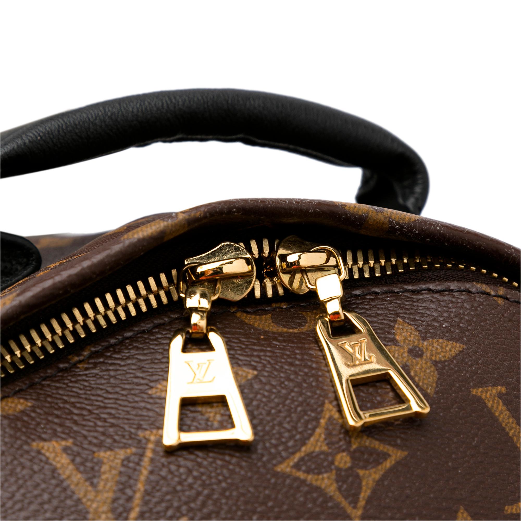 Louis Vuitton Monogram Palm Springs PM (SHG-Y129BK)