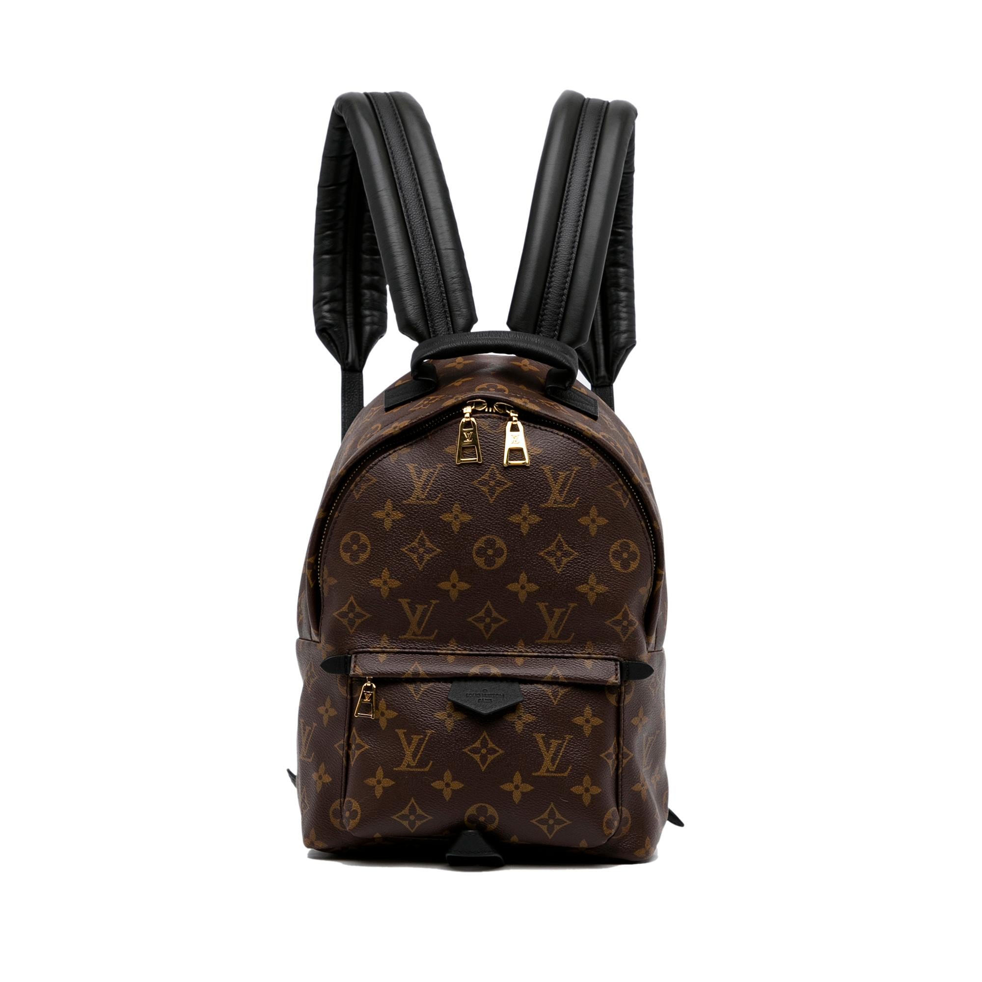 Louis Vuitton Monogram Palm Springs PM (SHG-Y129BK)