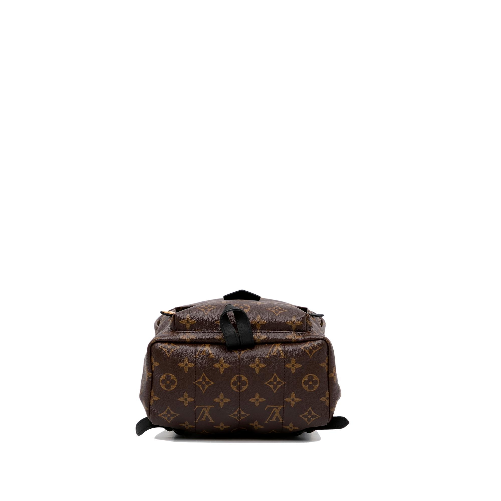 Louis Vuitton Monogram Palm Springs PM (SHG-Y129BK)