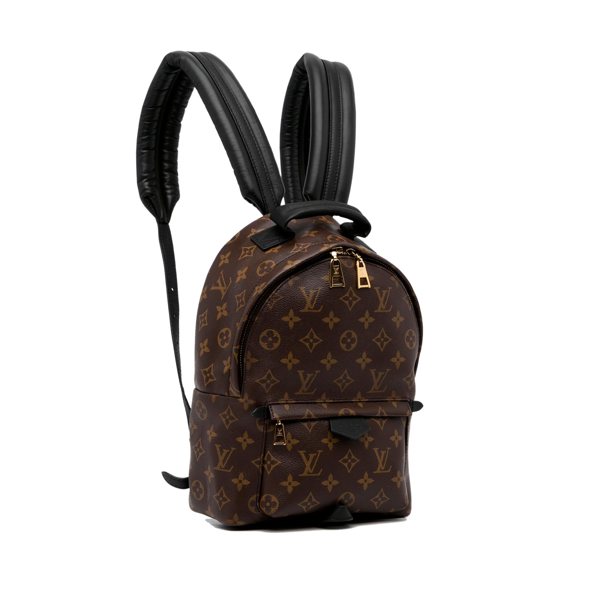 Louis Vuitton Monogram Palm Springs PM (SHG-Y129BK)