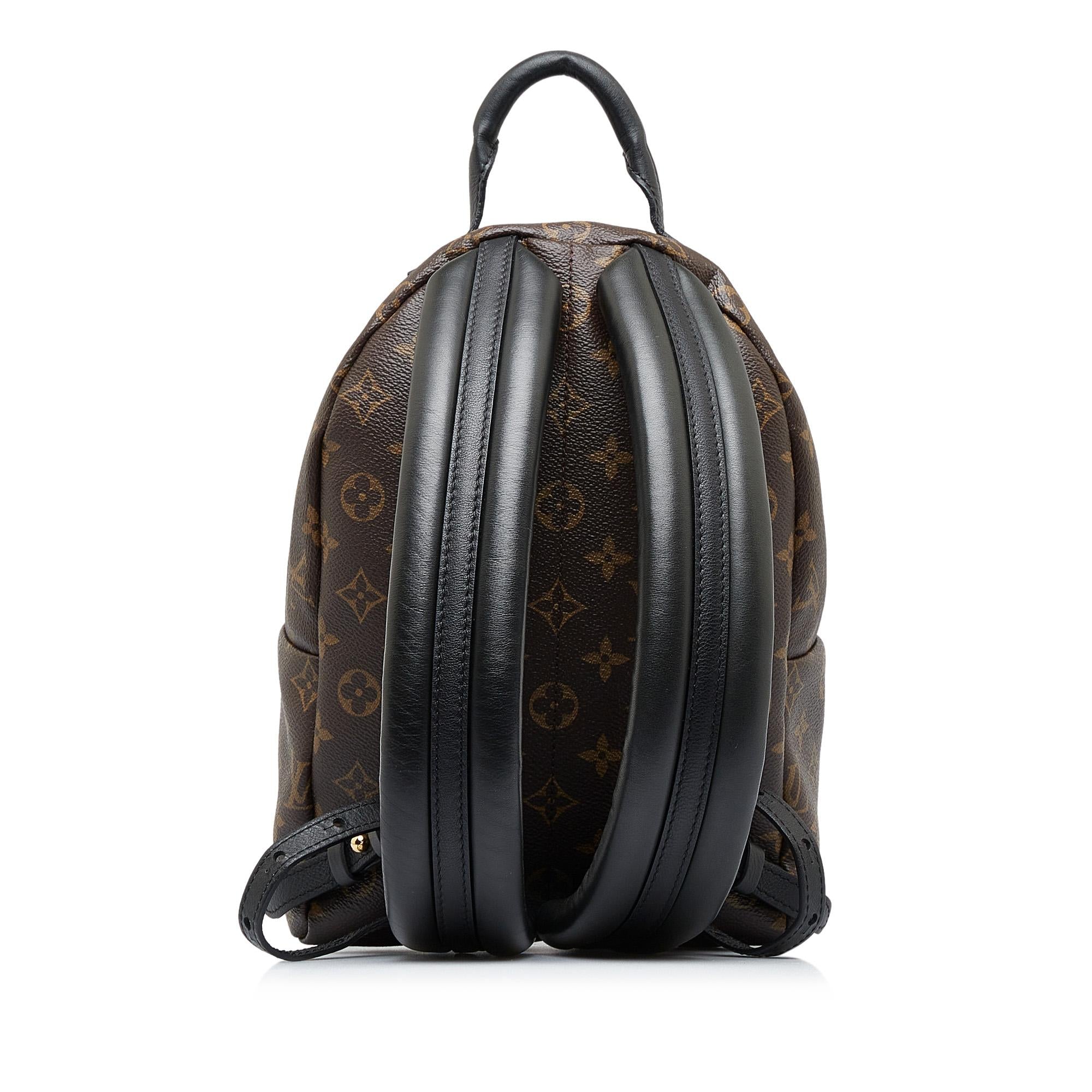 Louis Vuitton Monogram Palm Springs PM (SHG-cHfJey)