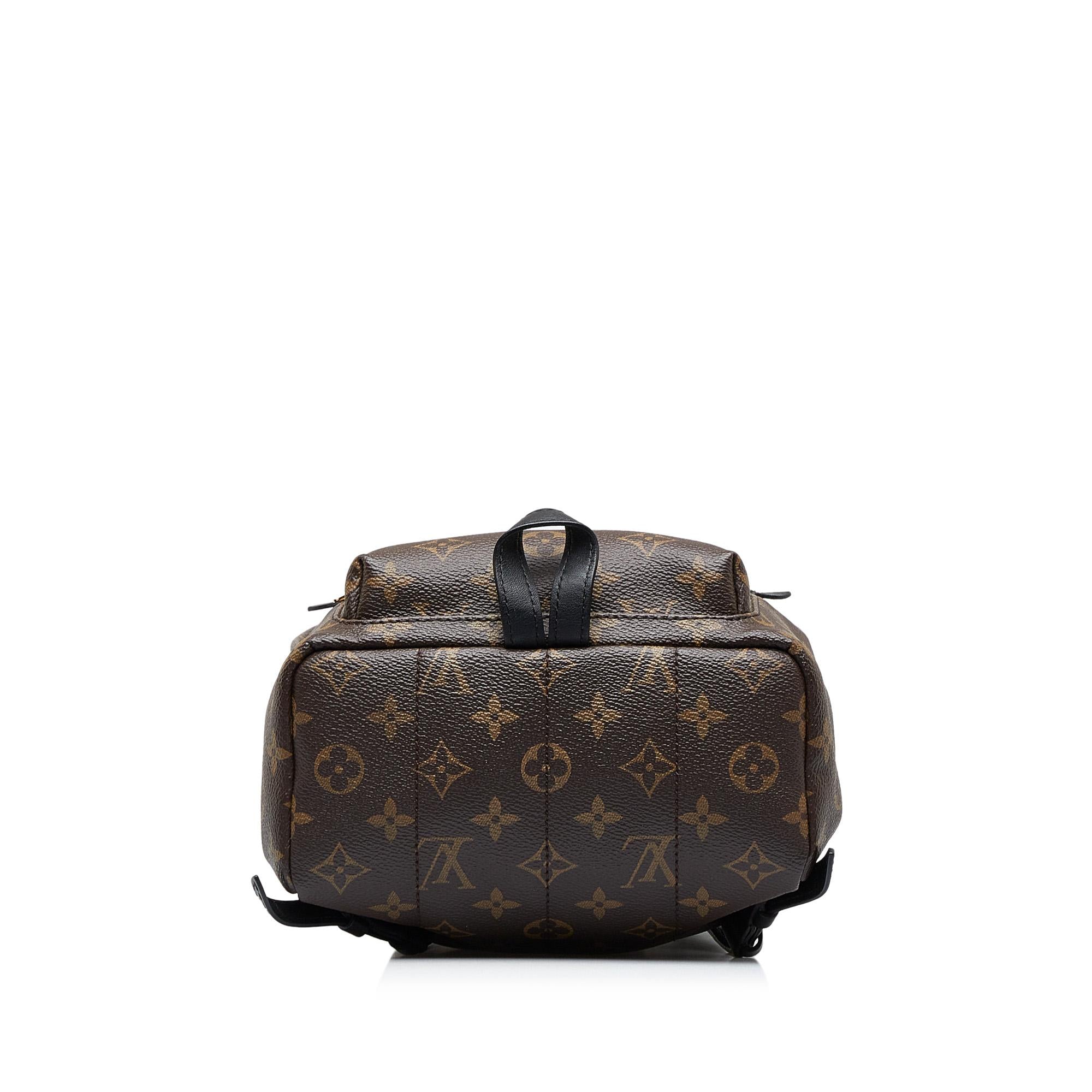 Louis Vuitton Monogram Palm Springs PM (SHG-cHfJey)