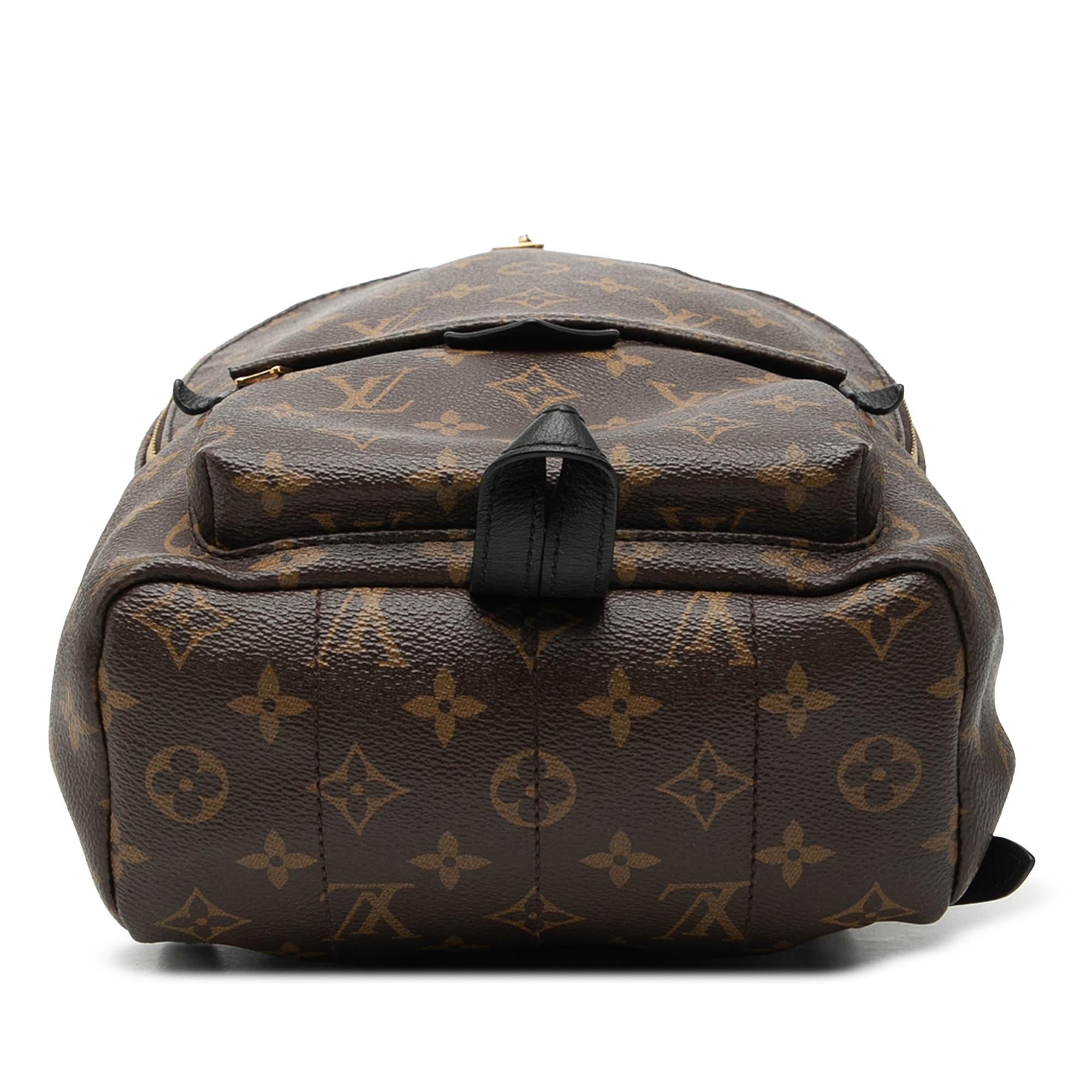 Louis Vuitton Monogram Palm Springs PM
