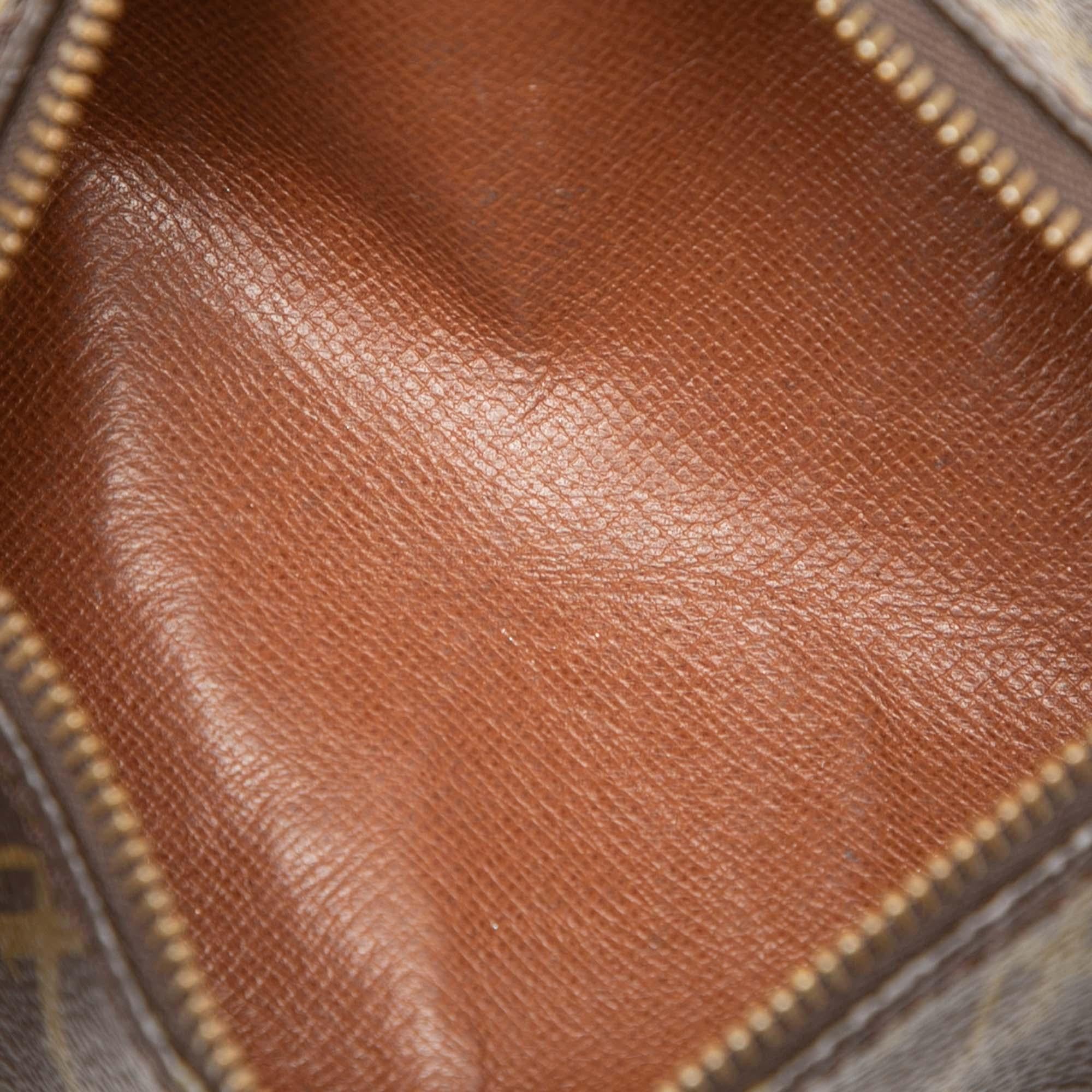 Louis Vuitton Monogram Papillon Pochette