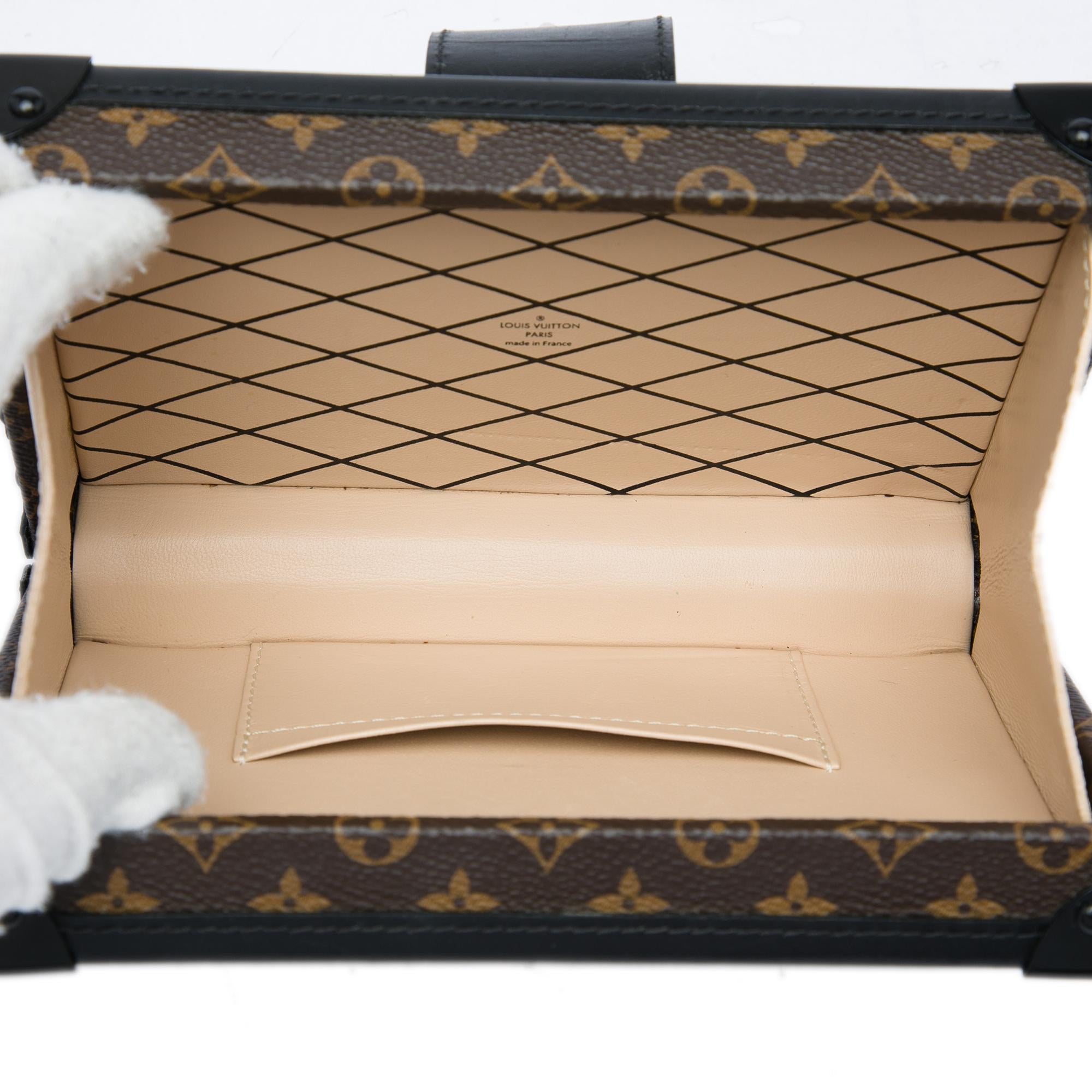 Louis Vuitton Monogram Petite Malle