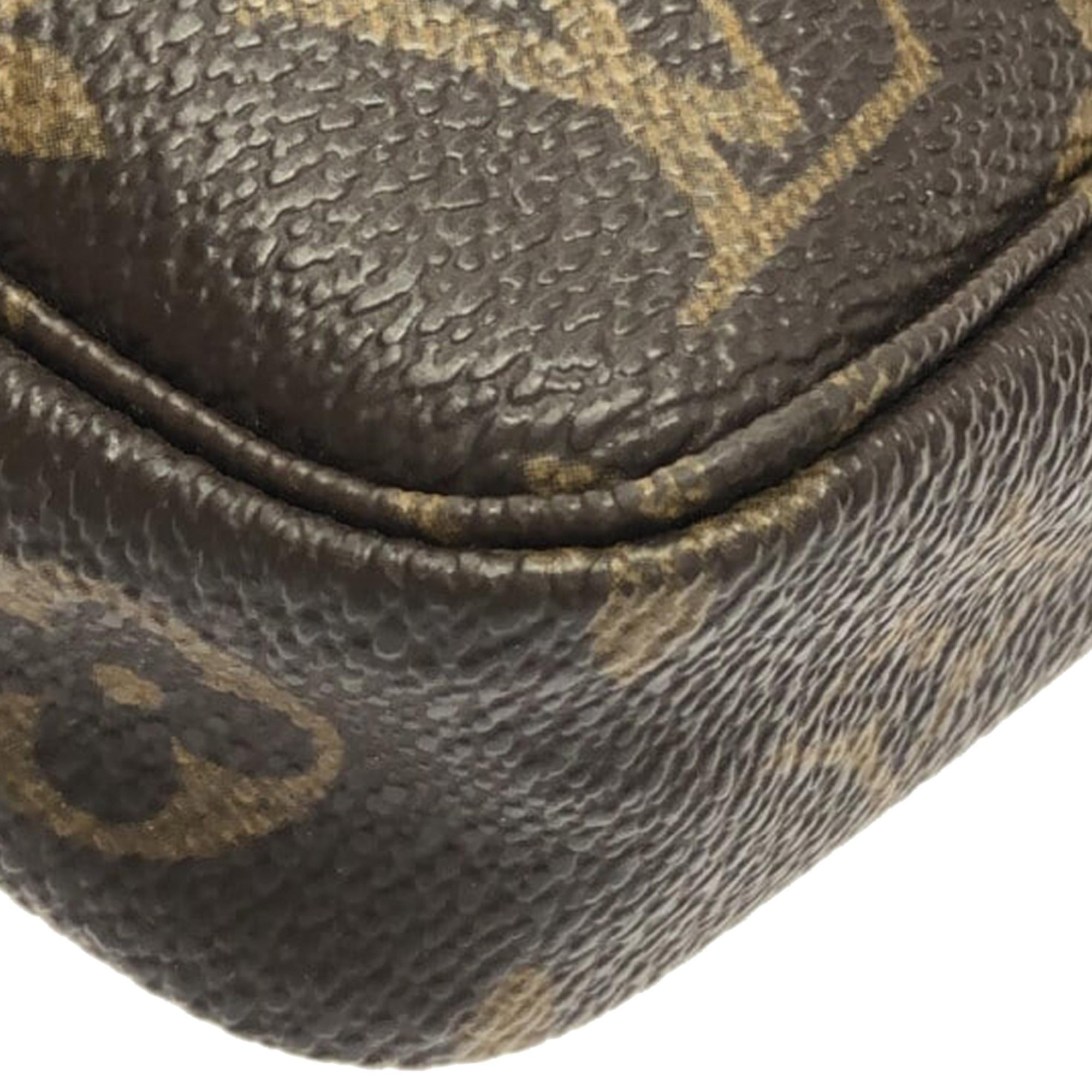 Louis Vuitton Monogram Pochette Accessoires (SHG-iVclkt)
