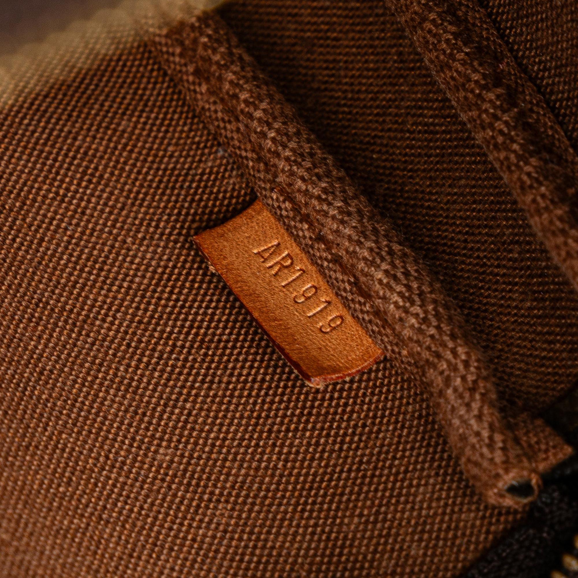 Louis Vuitton Monogram Pochette Accessoires (SHG-ERa7EO)