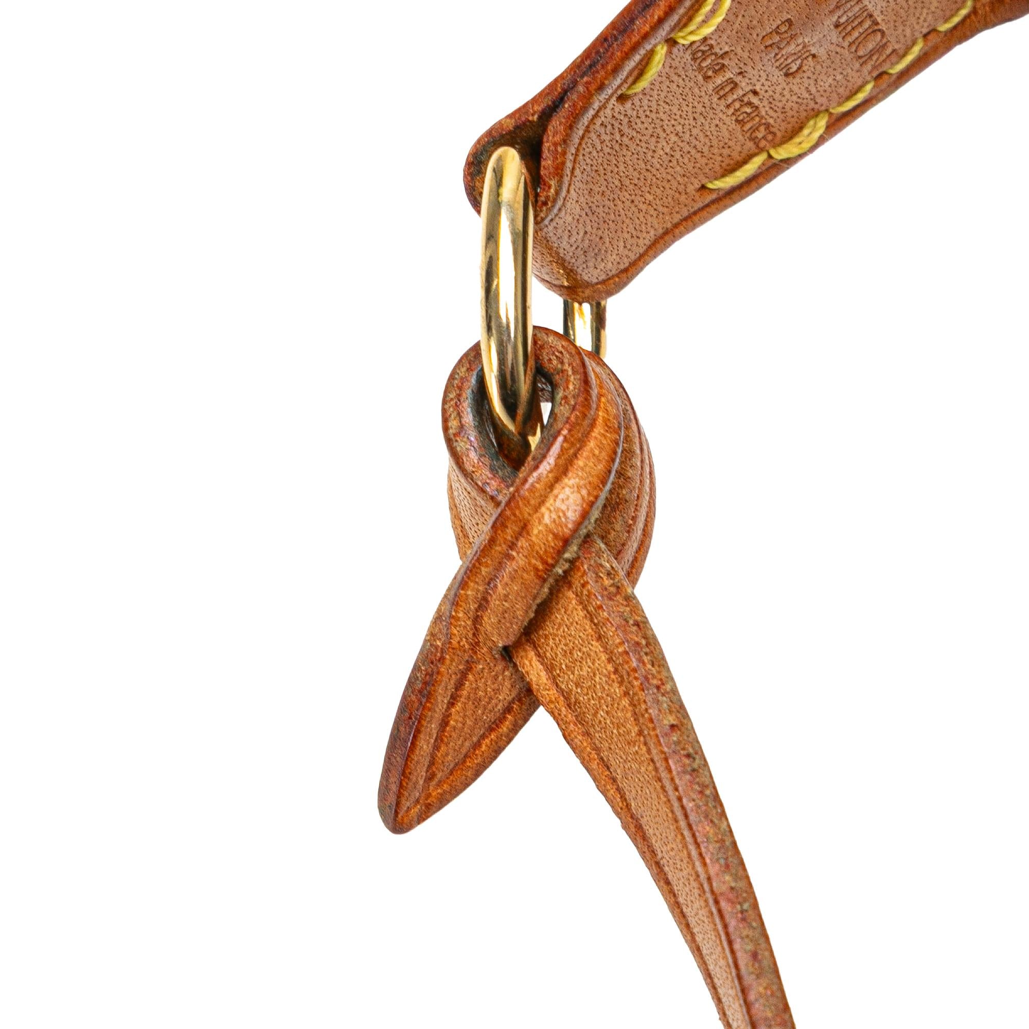 Louis Vuitton Monogram Pochette Accessoires