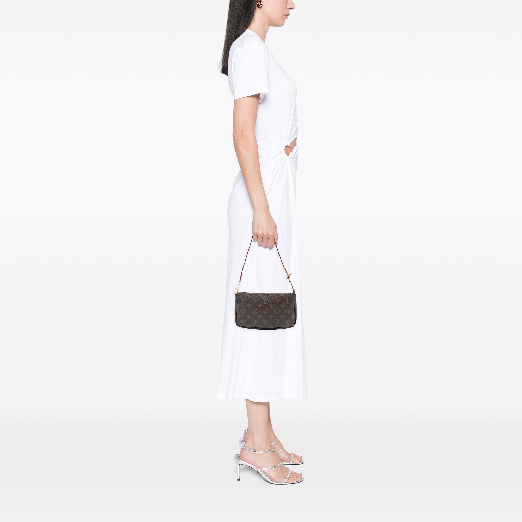 Louis Vuitton Monogram Pochette Accessoires