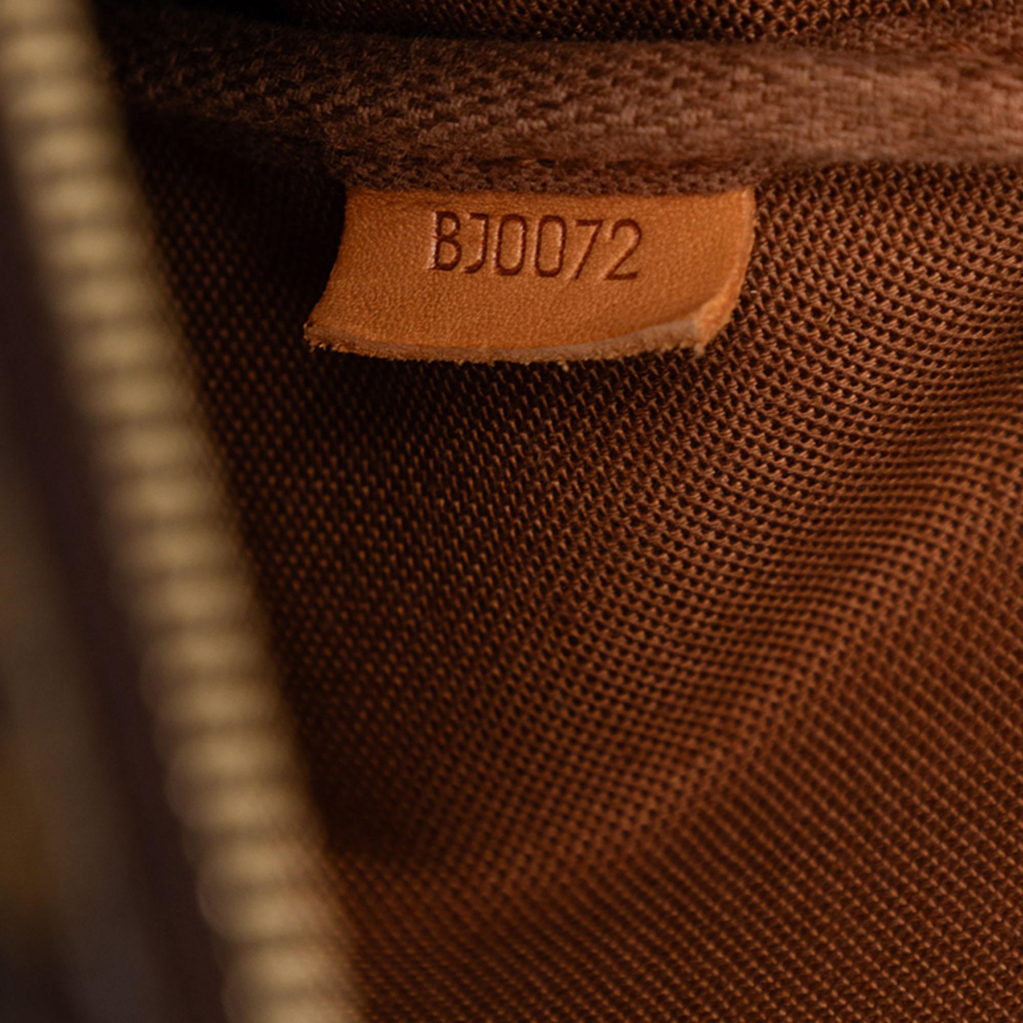 Louis Vuitton Monogram Pochette Accessoires