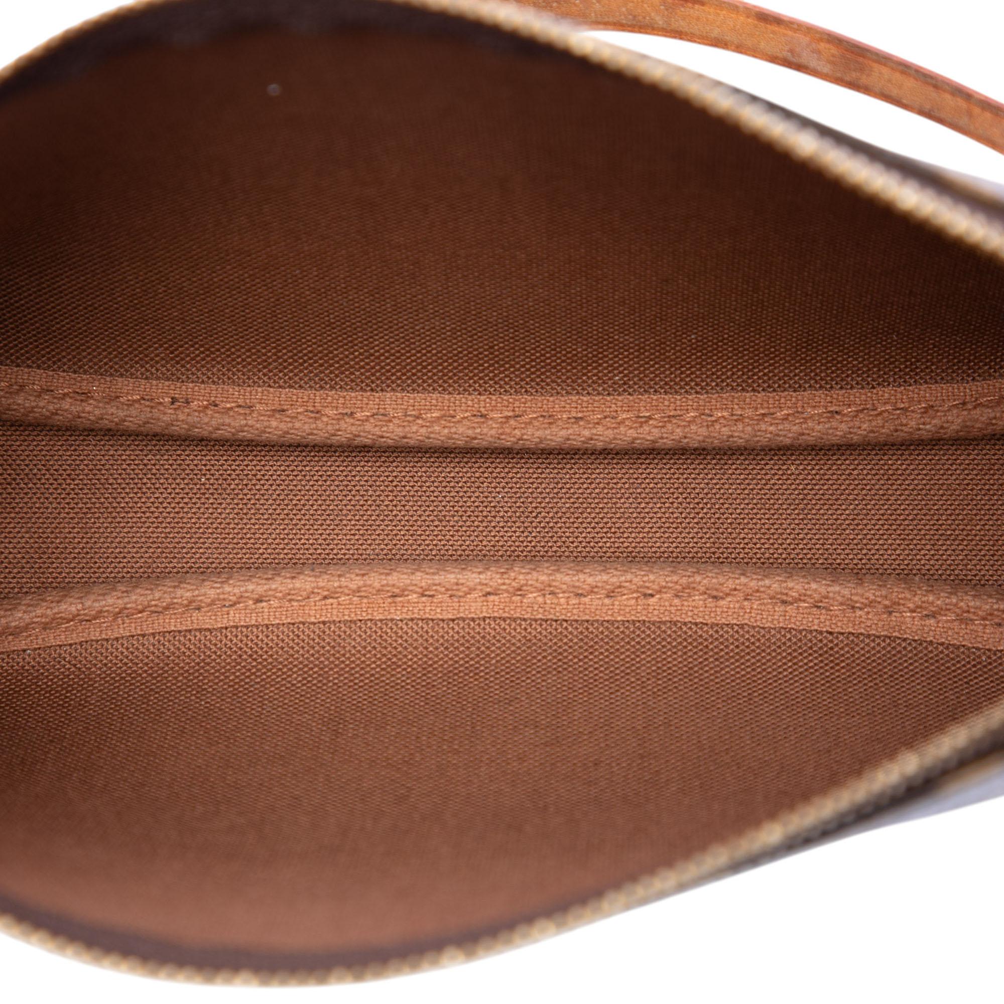 Louis Vuitton Monogram Pochette Accessoires