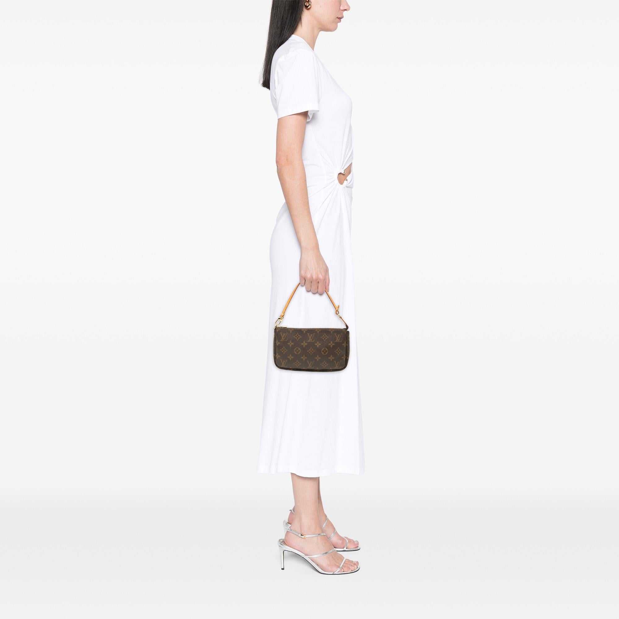 Louis Vuitton Monogram Pochette Accessoires