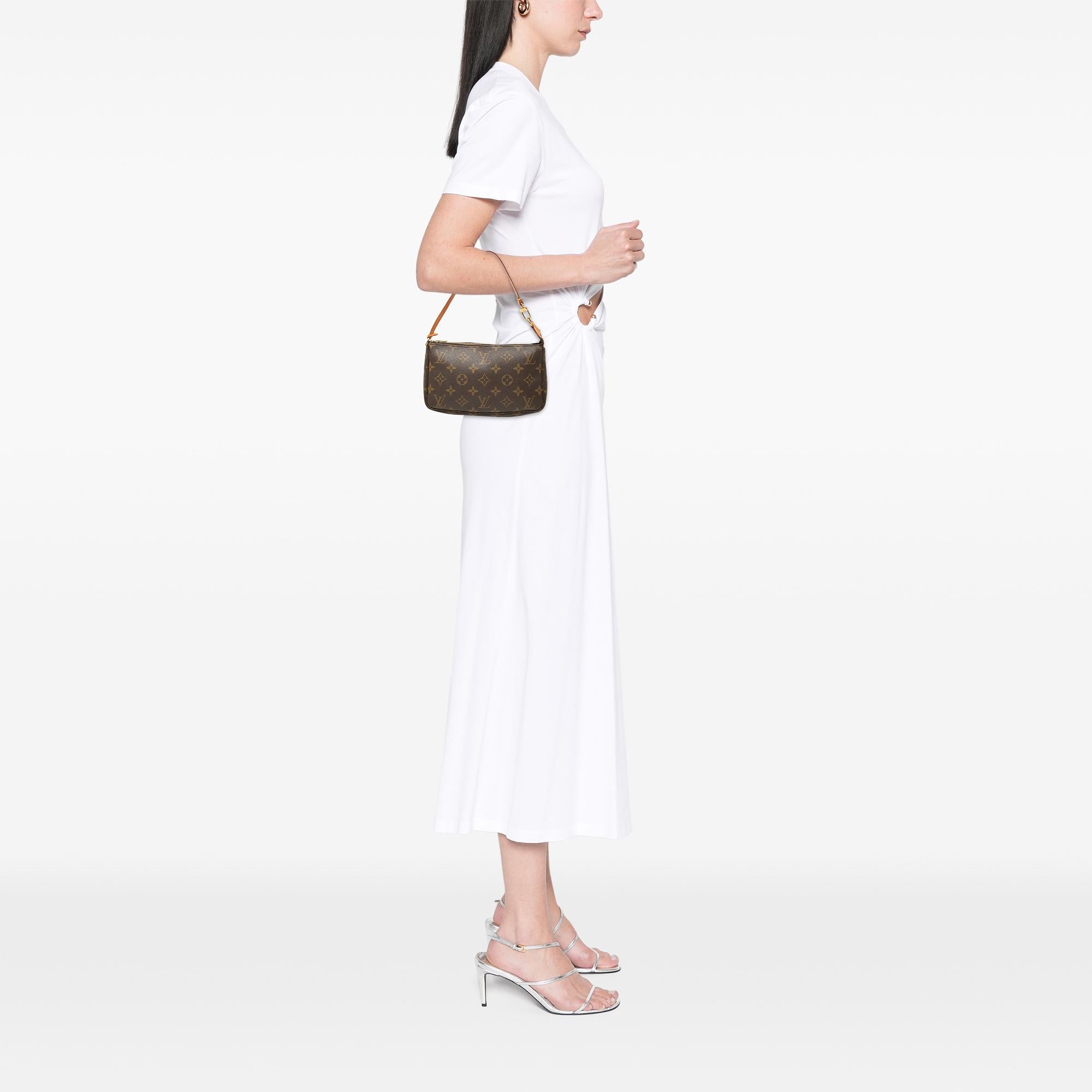 Louis Vuitton Monogram Pochette Accessoires