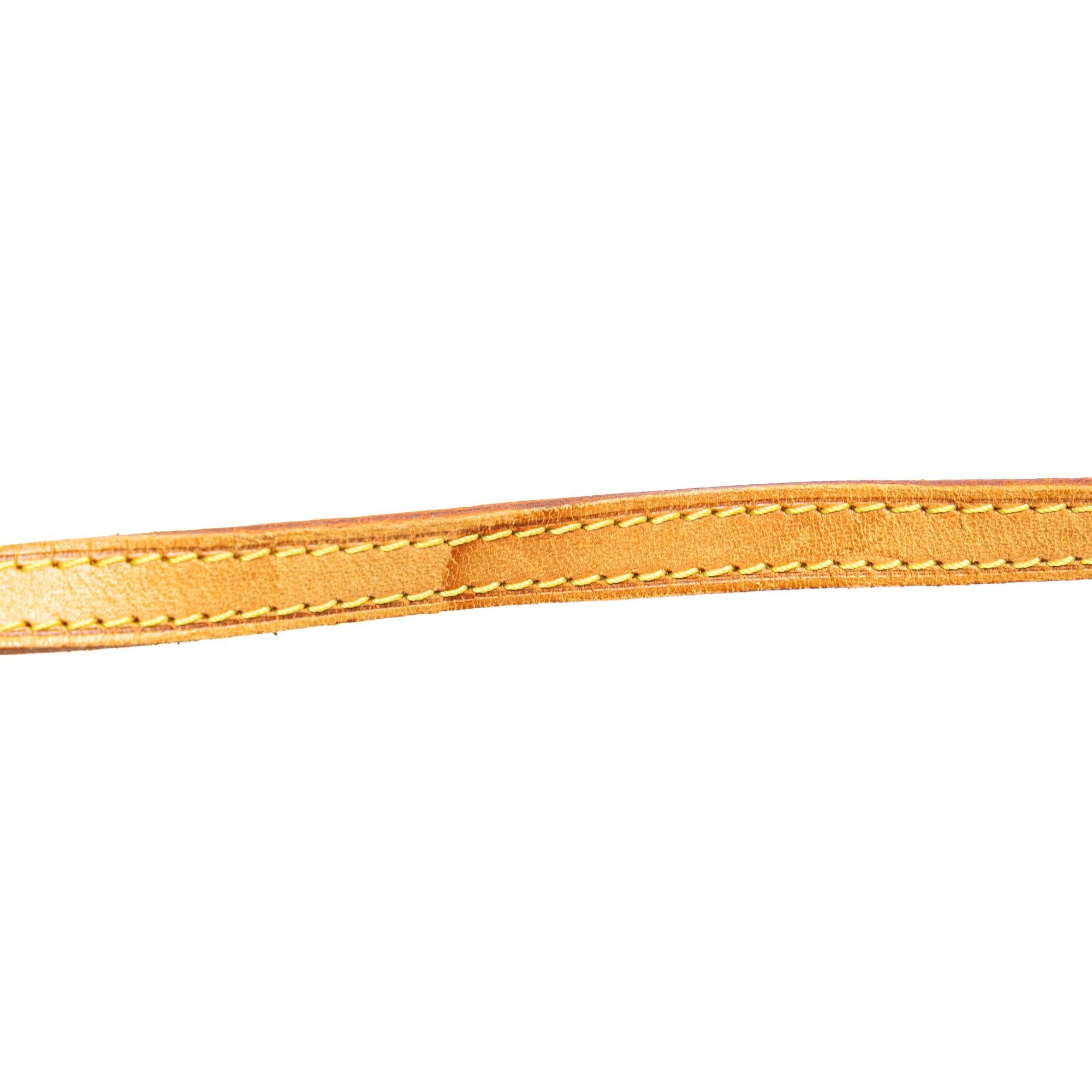 Louis Vuitton Monogram Pochette Twin PM