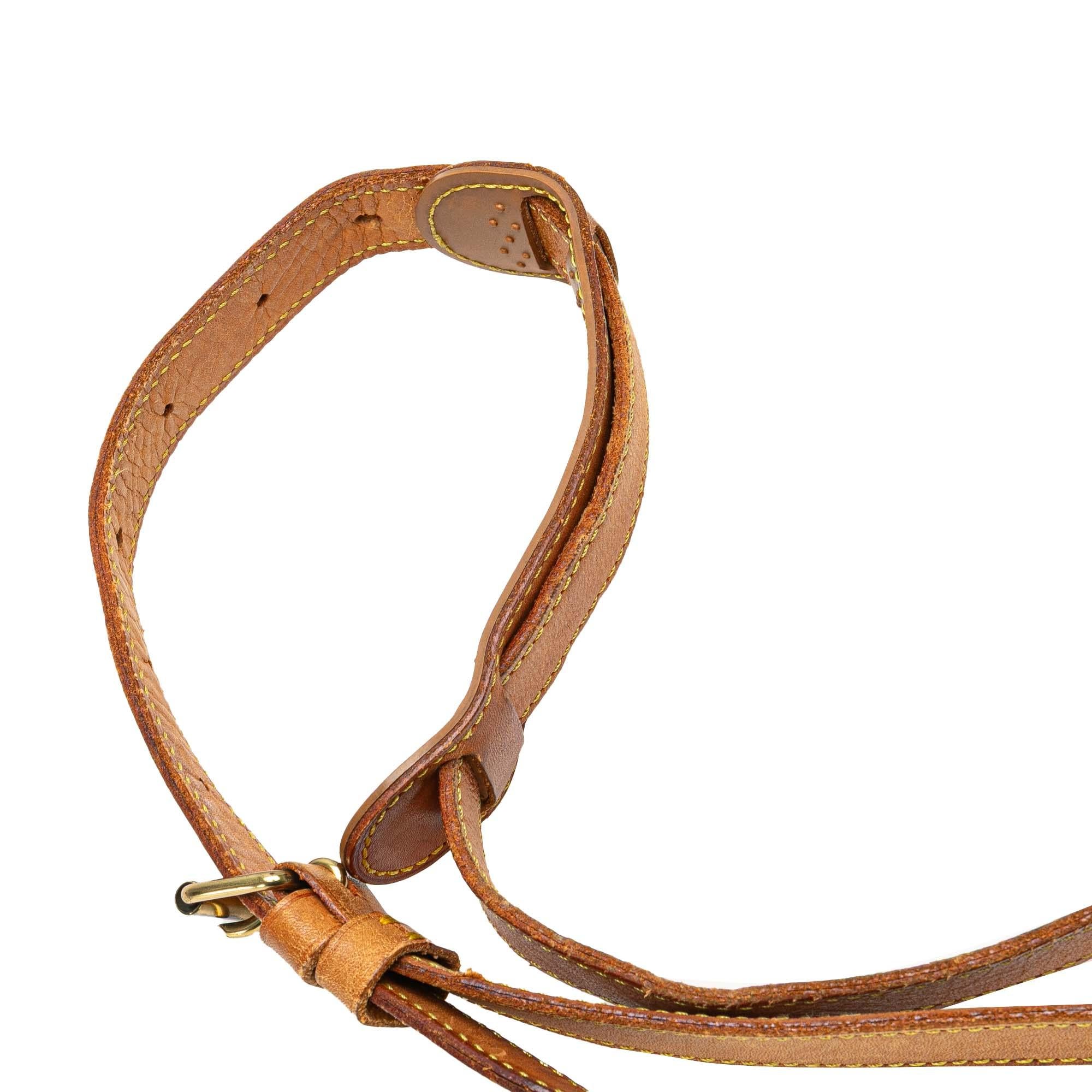 Louis Vuitton Monogram Saumur 35
