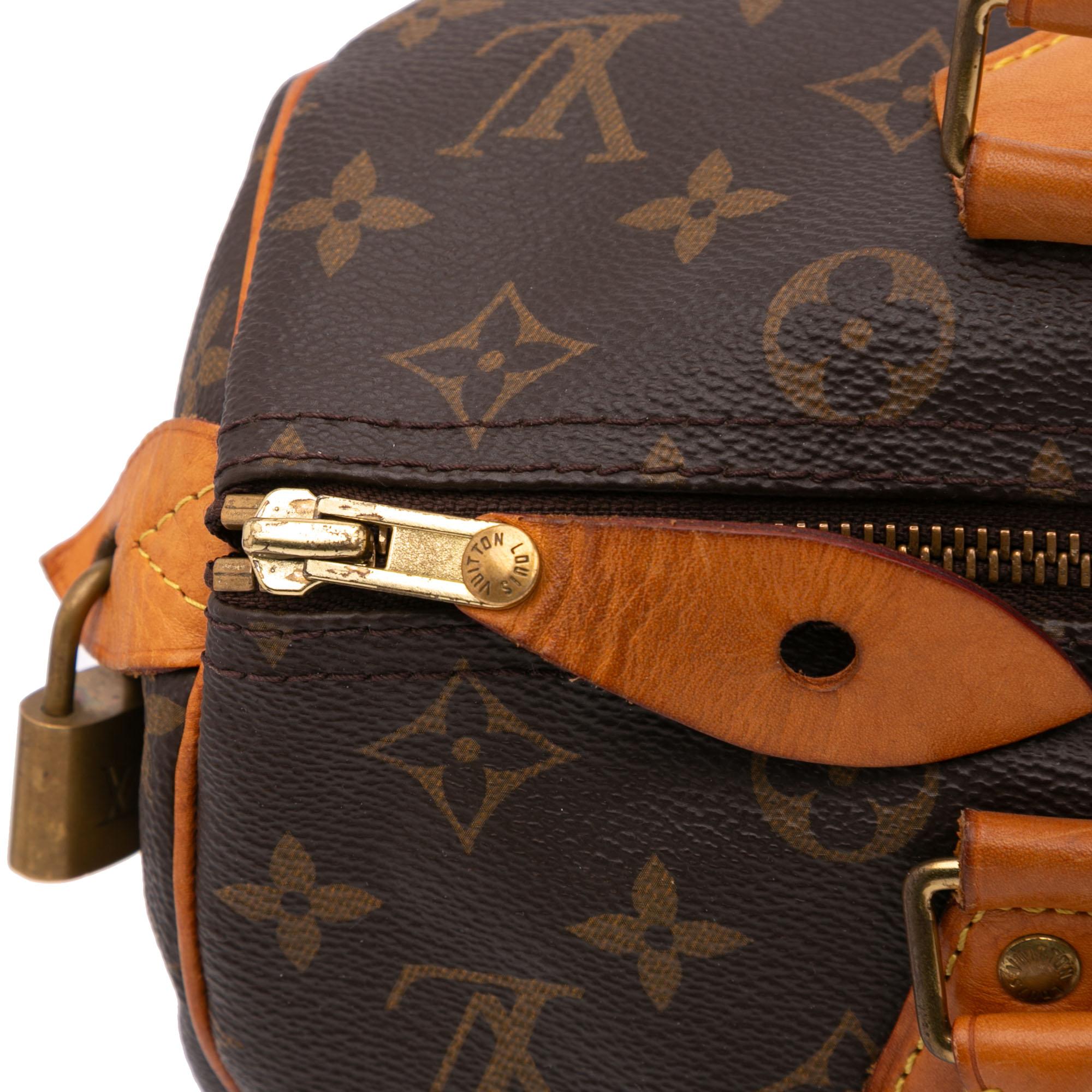 Louis Vuitton Monogram Speedy 30