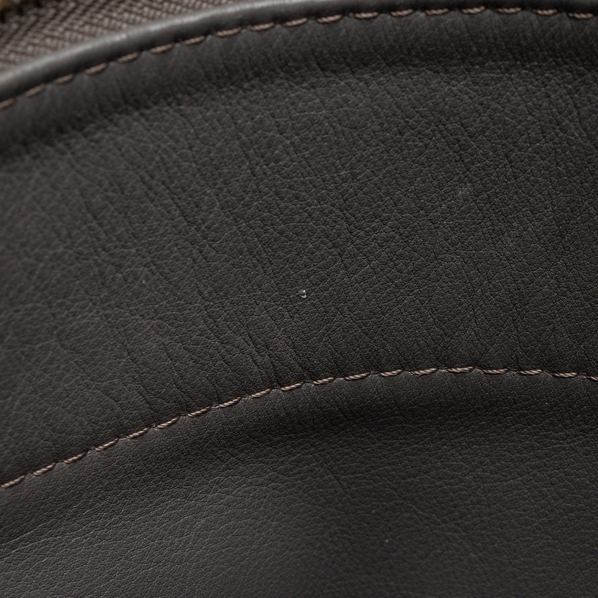 Louis Vuitton Monogram Embossed Suede Python Wish Bag