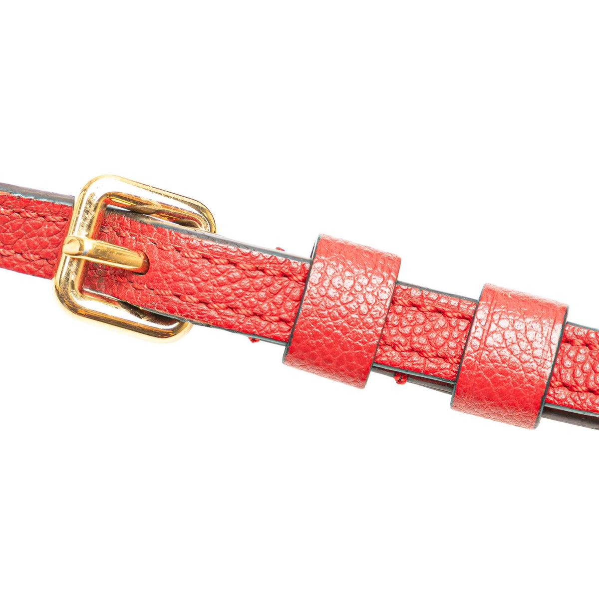 Louis Vuitton Monogram Twice