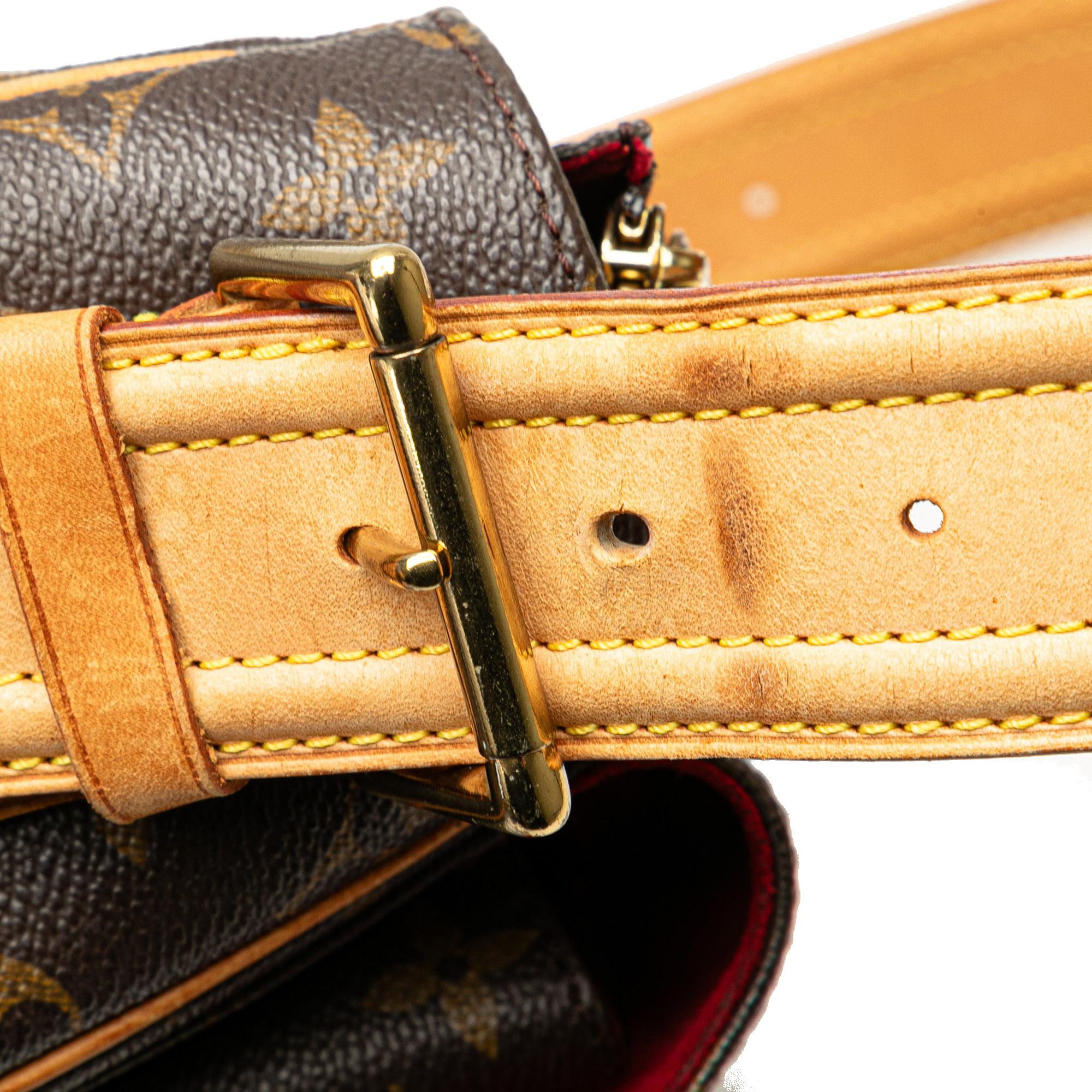 Louis Vuitton Monogram Viva Cite GM