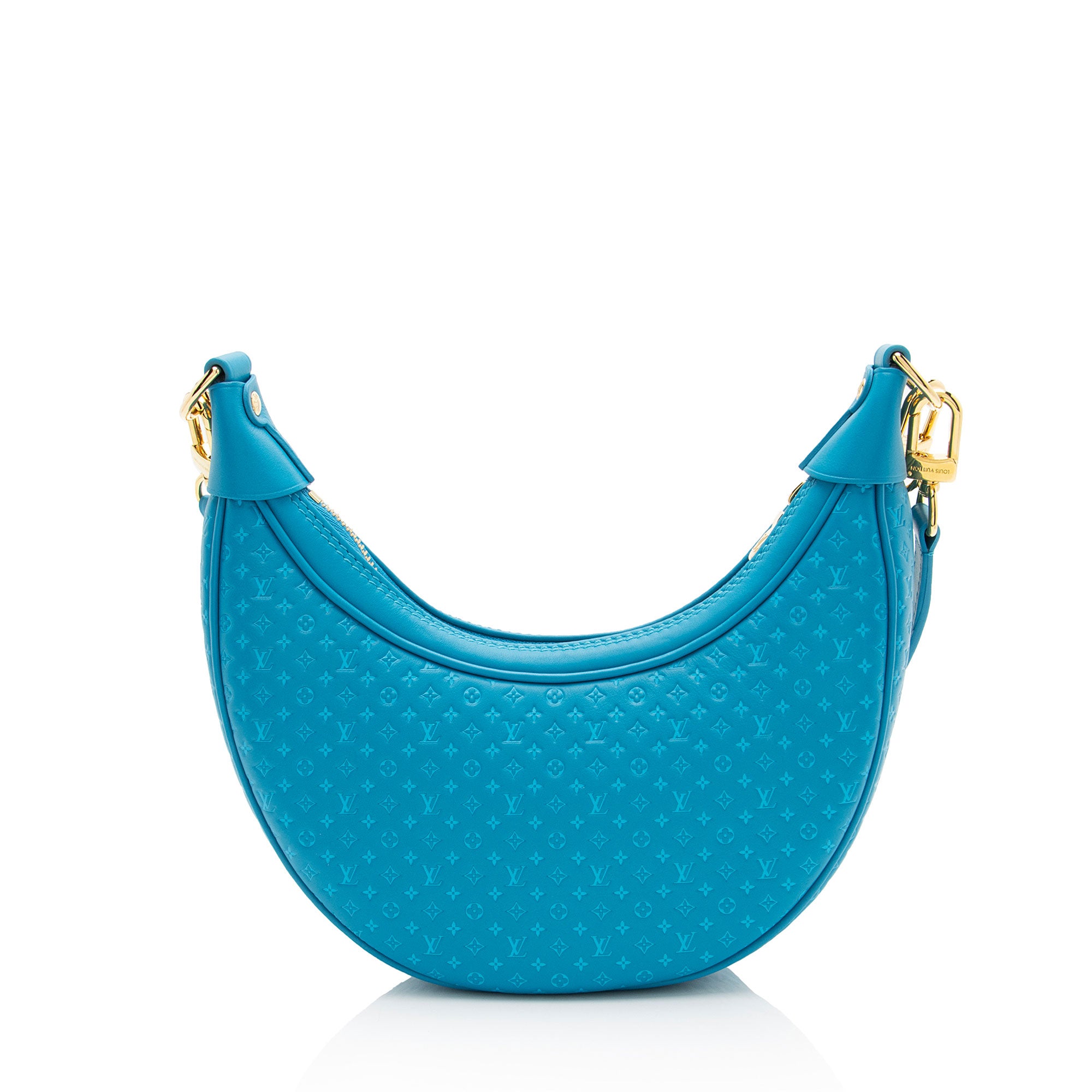 Louis Vuitton Nanogram Embossed Loop Shoulder Bag