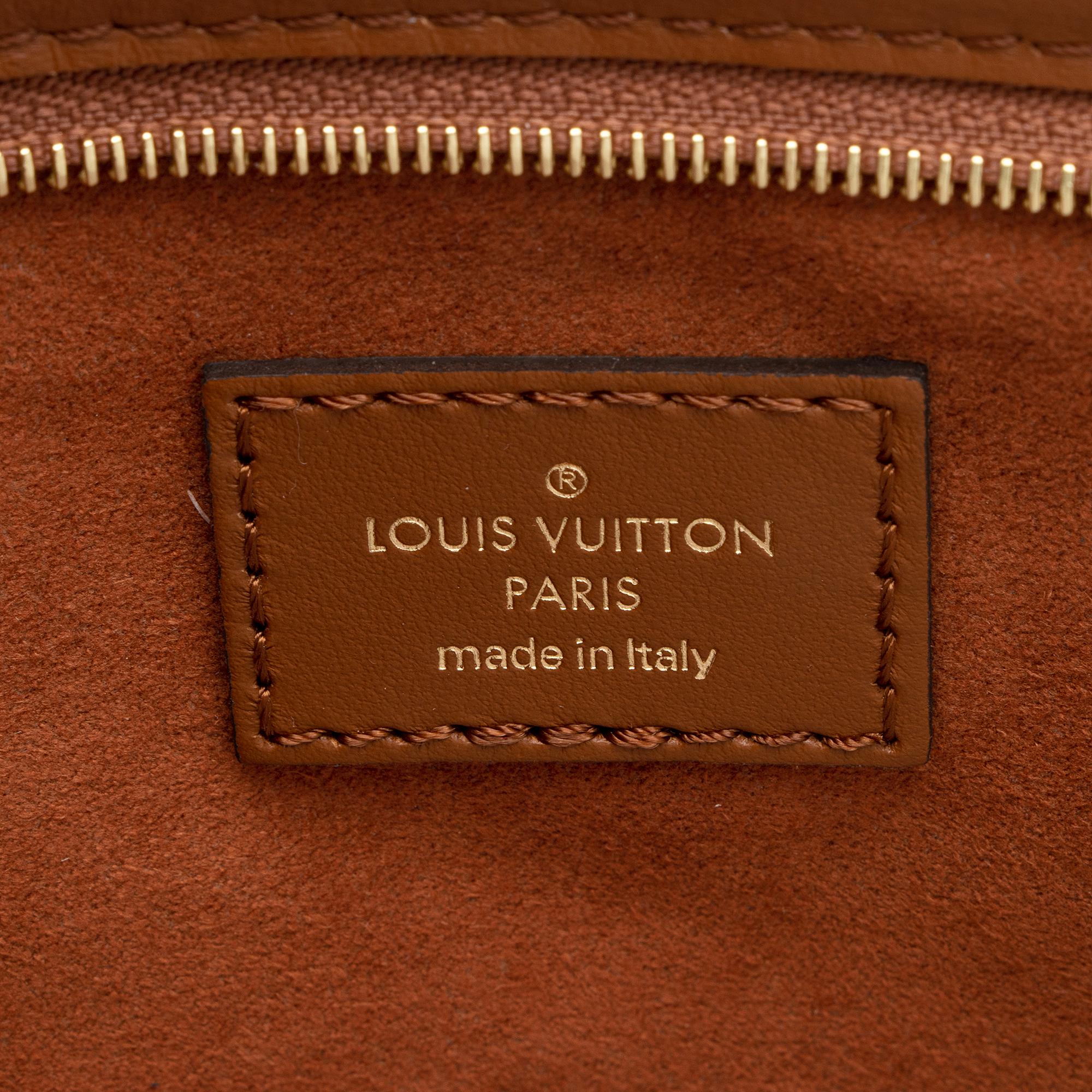 Louis Vuitton Raffia Pochette (SHF-Emz8og)