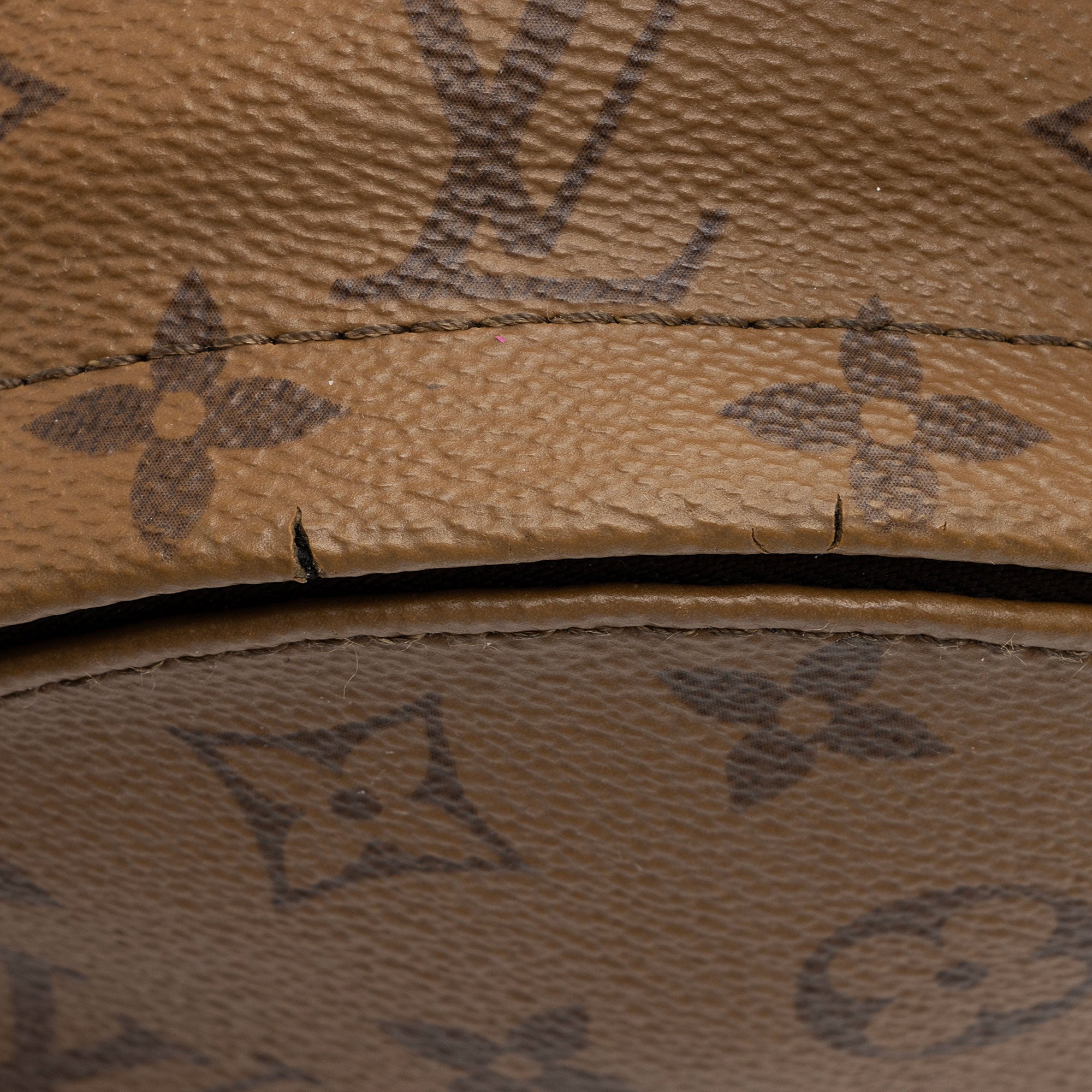 Louis Vuitton Reverse Monogram Canvas Palm Springs Mini Backpack