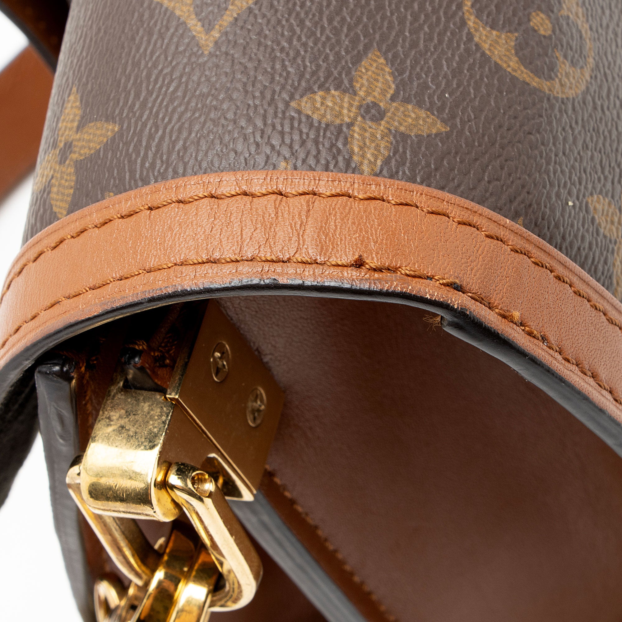 Louis Vuitton Reverse Monogram Dauphine MM Shoulder Bag