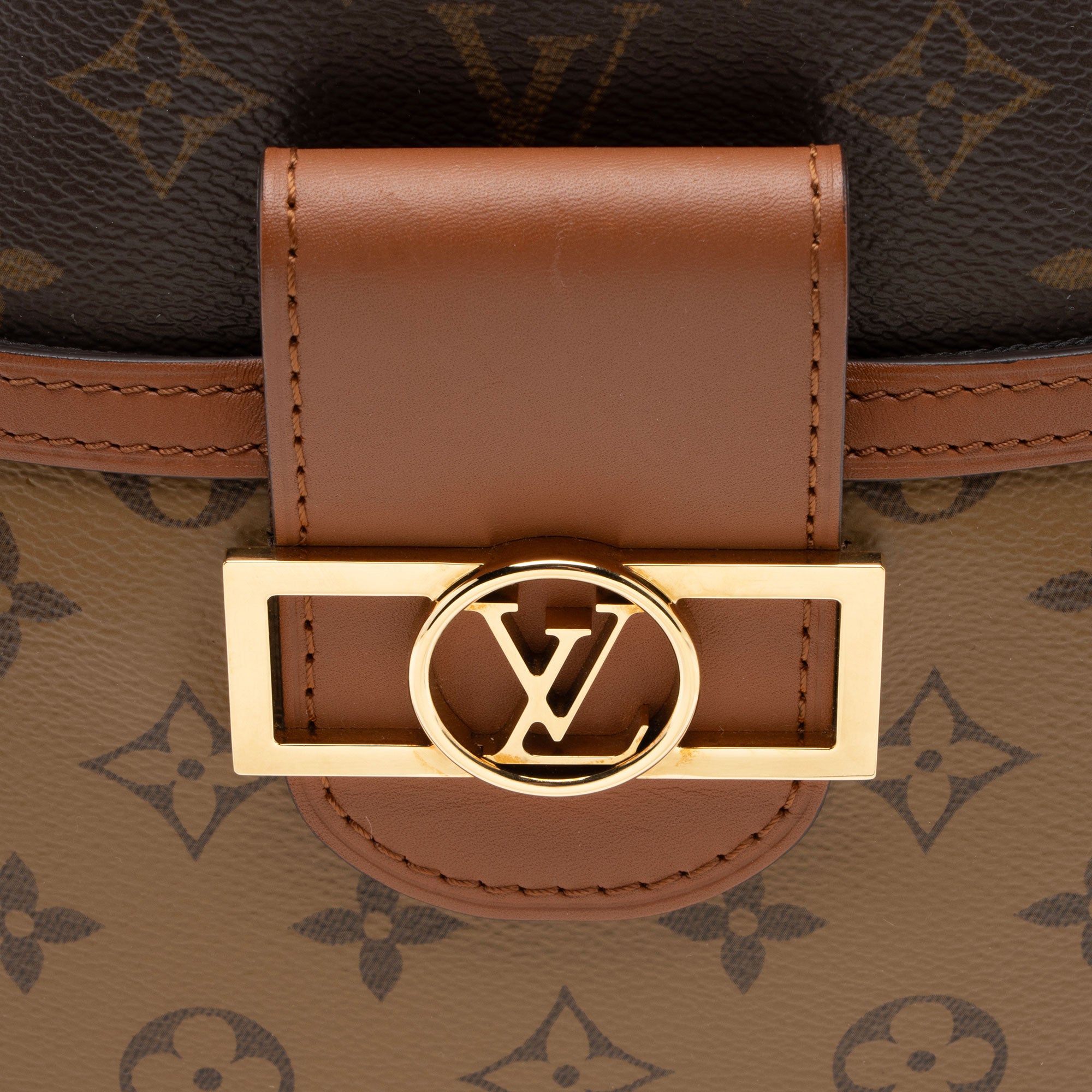 Louis Vuitton Reverse Monogram Dauphine PM Hobo
