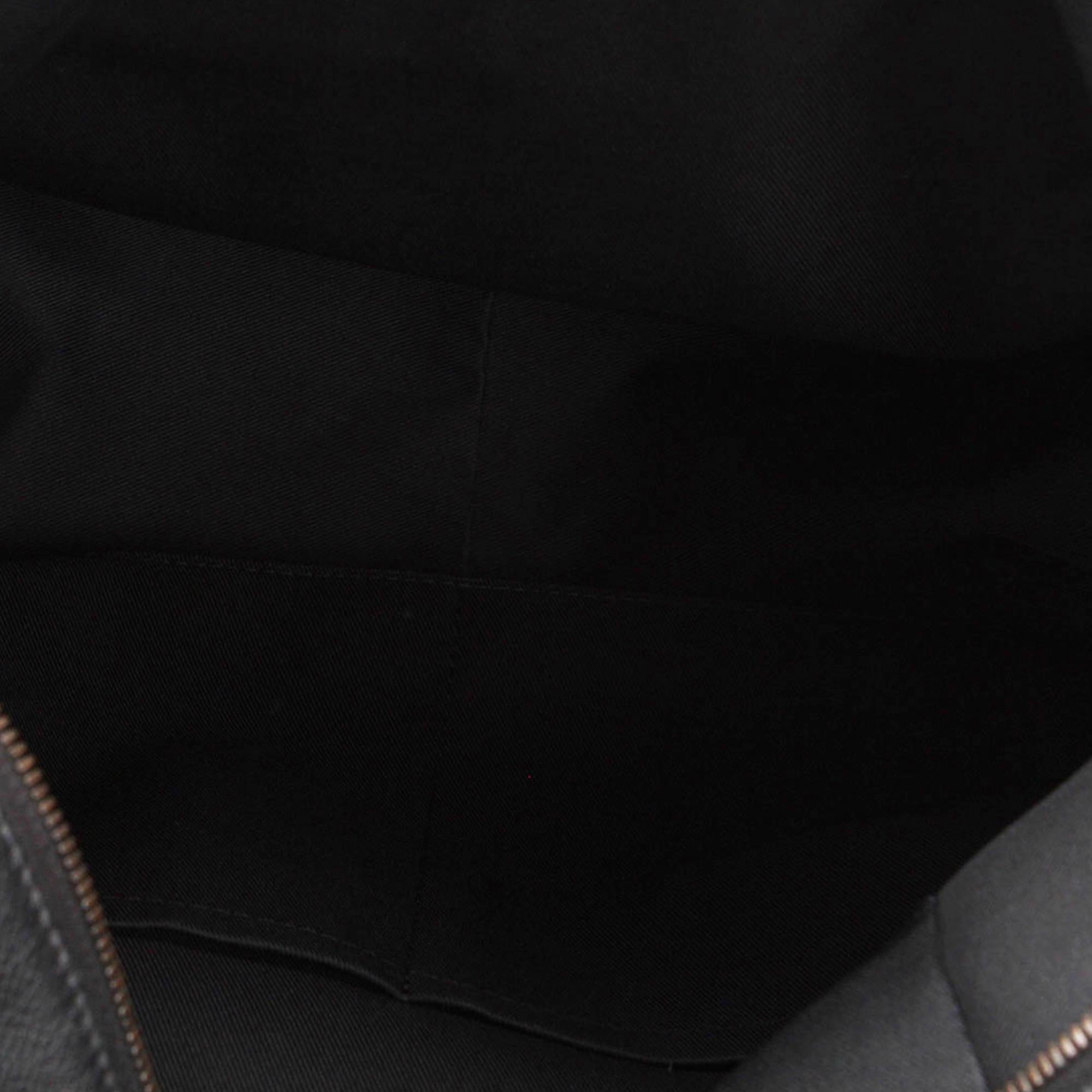 Louis Vuitton Taiga Apollo