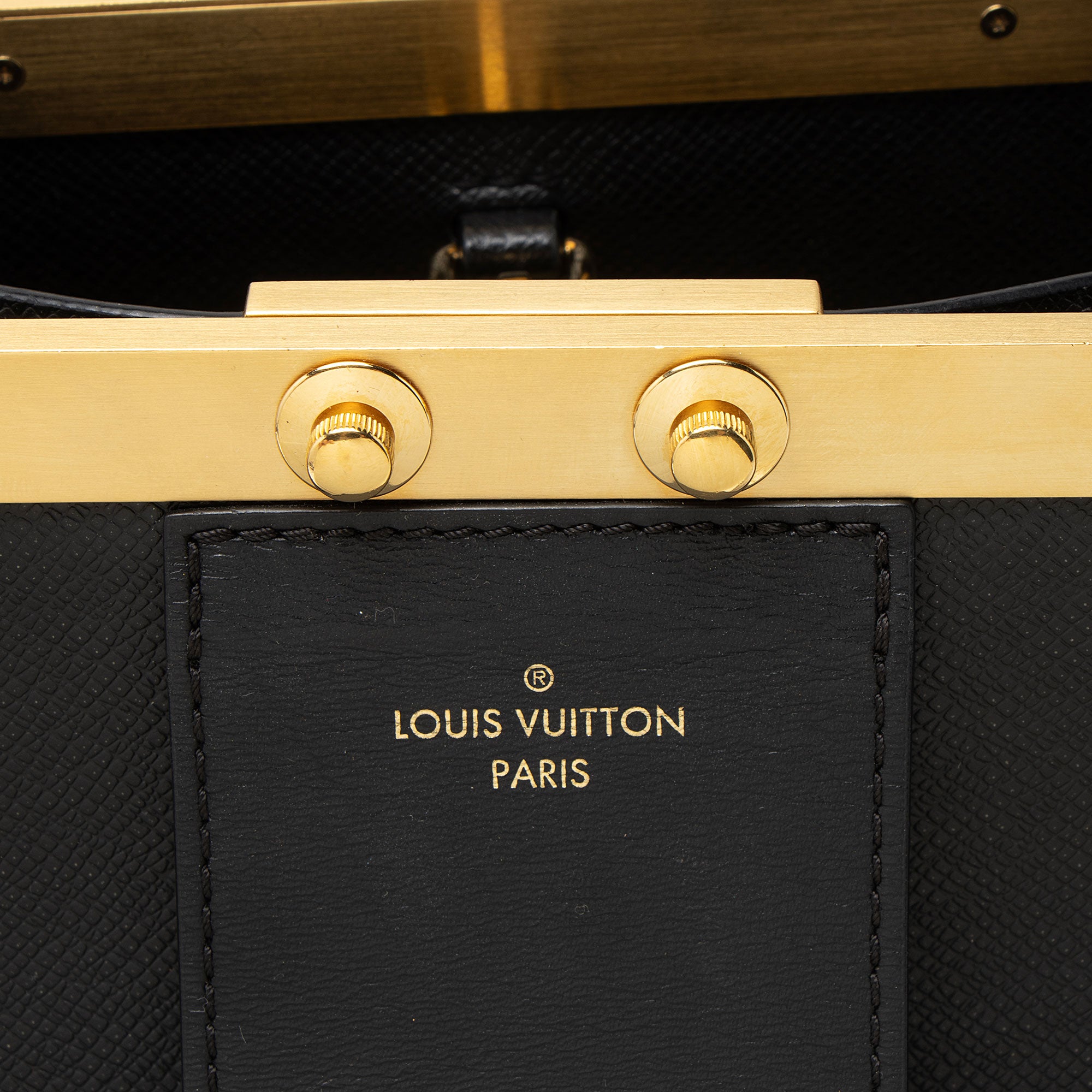 Louis Vuitton Taiga Leather City Frame Top Handle