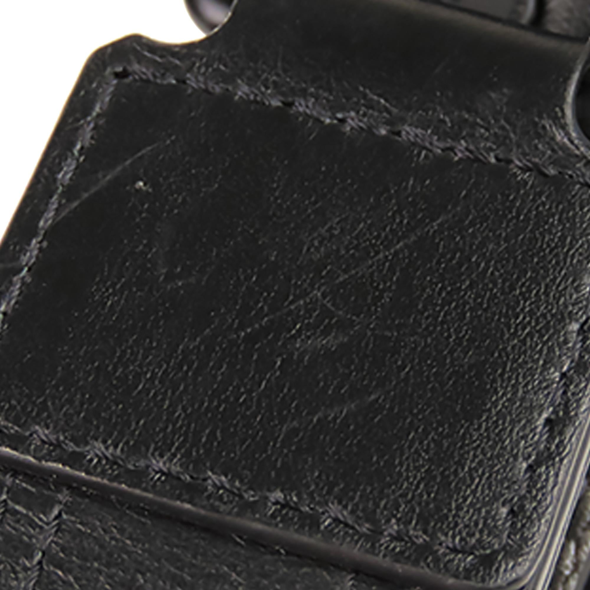 Louis Vuitton Taurillon Alpha