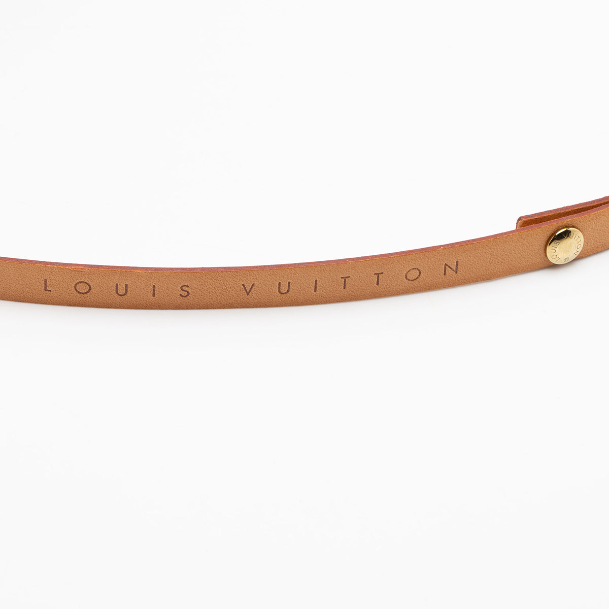 Louis Vuitton Vintage Monogram Canvas Florentine Pochette Belt Bag