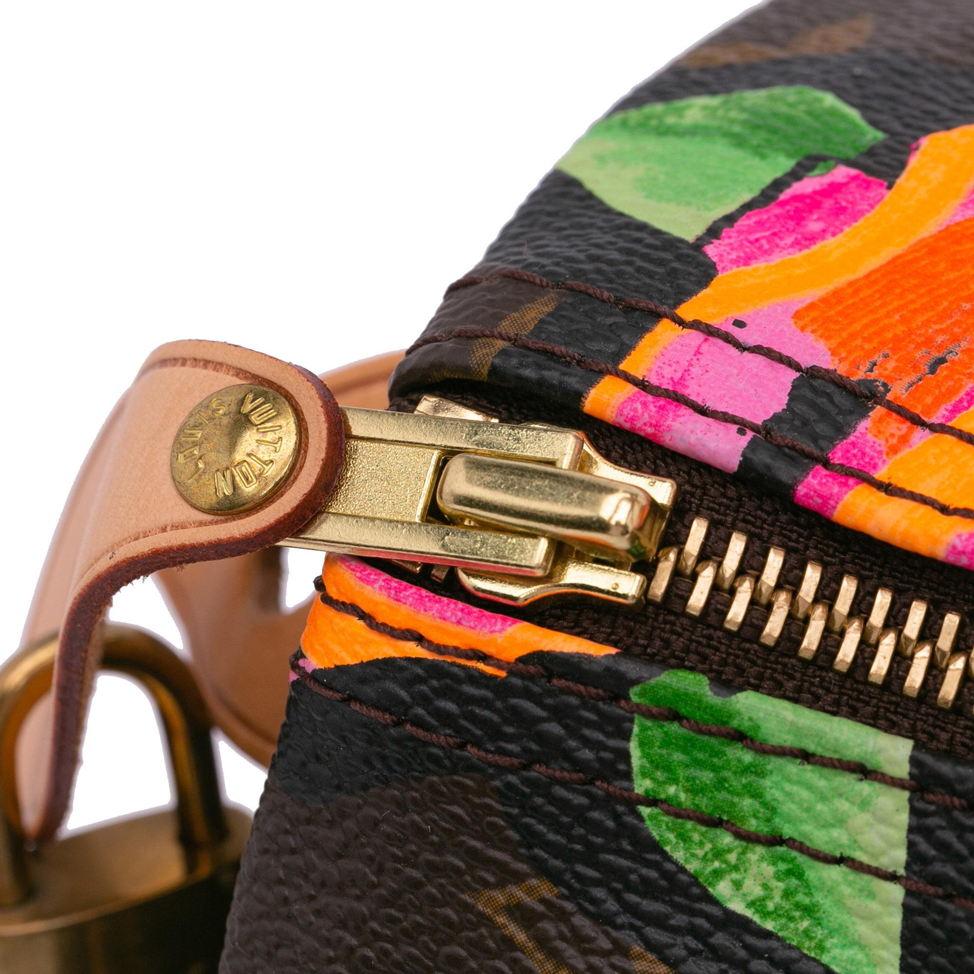 Louis Vuitton x Stephen Sprouse Monogram Roses Speedy 30 (SHG-zpYk5B)