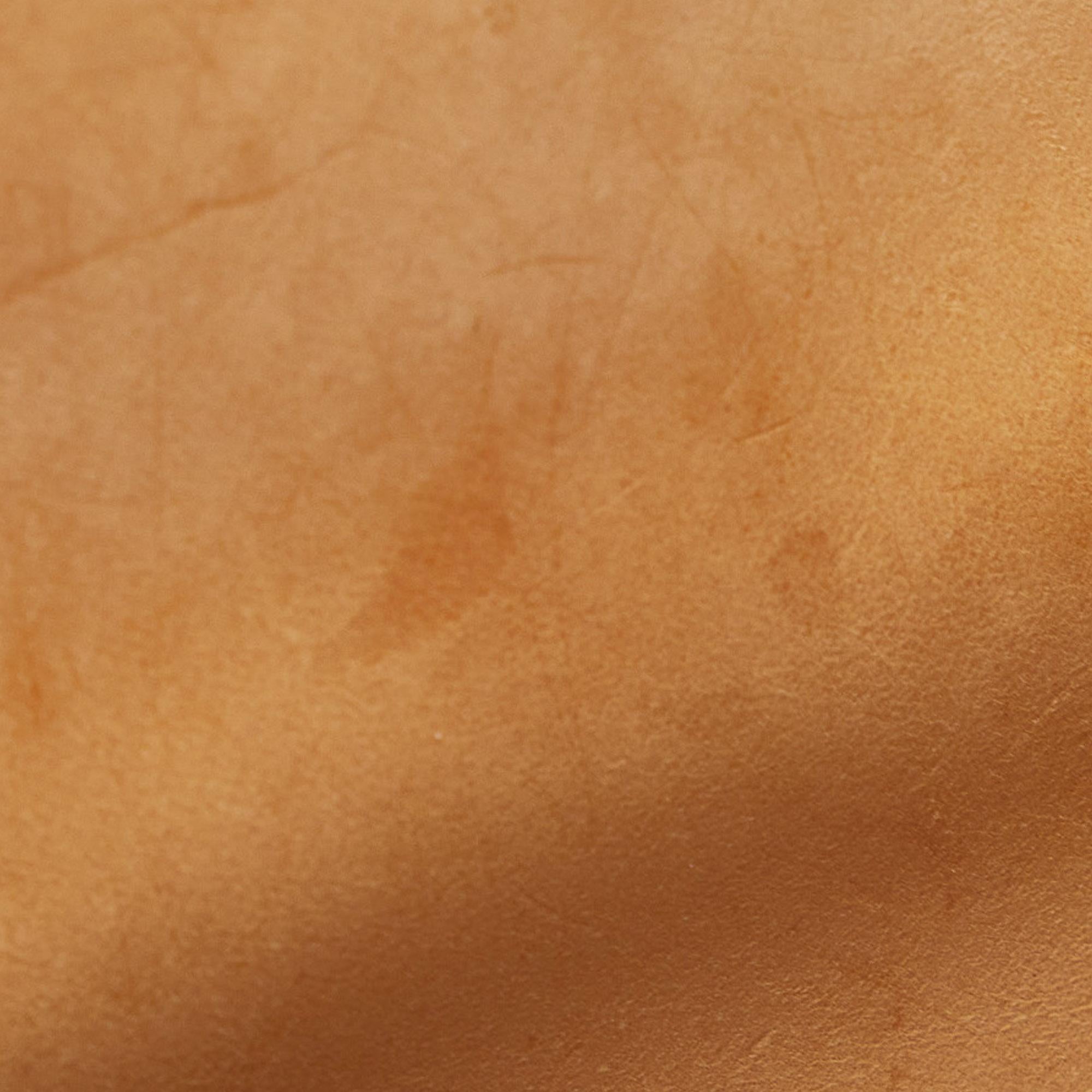 Louis Vuitton x Takashi Murakami Monogram Cherry Blossom Sac Retro (SHG-dTVIxu)