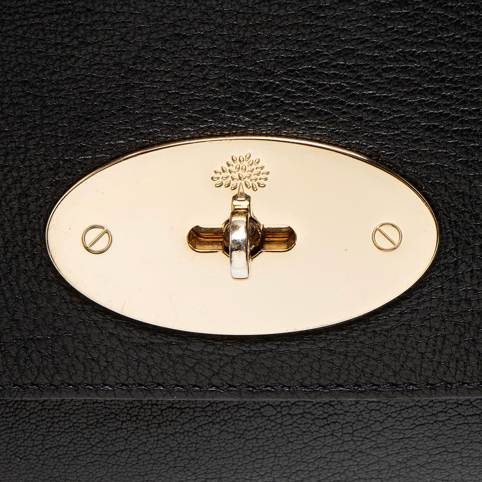 Mulberry Glossy Goat Lily Medium Shoulder Bag