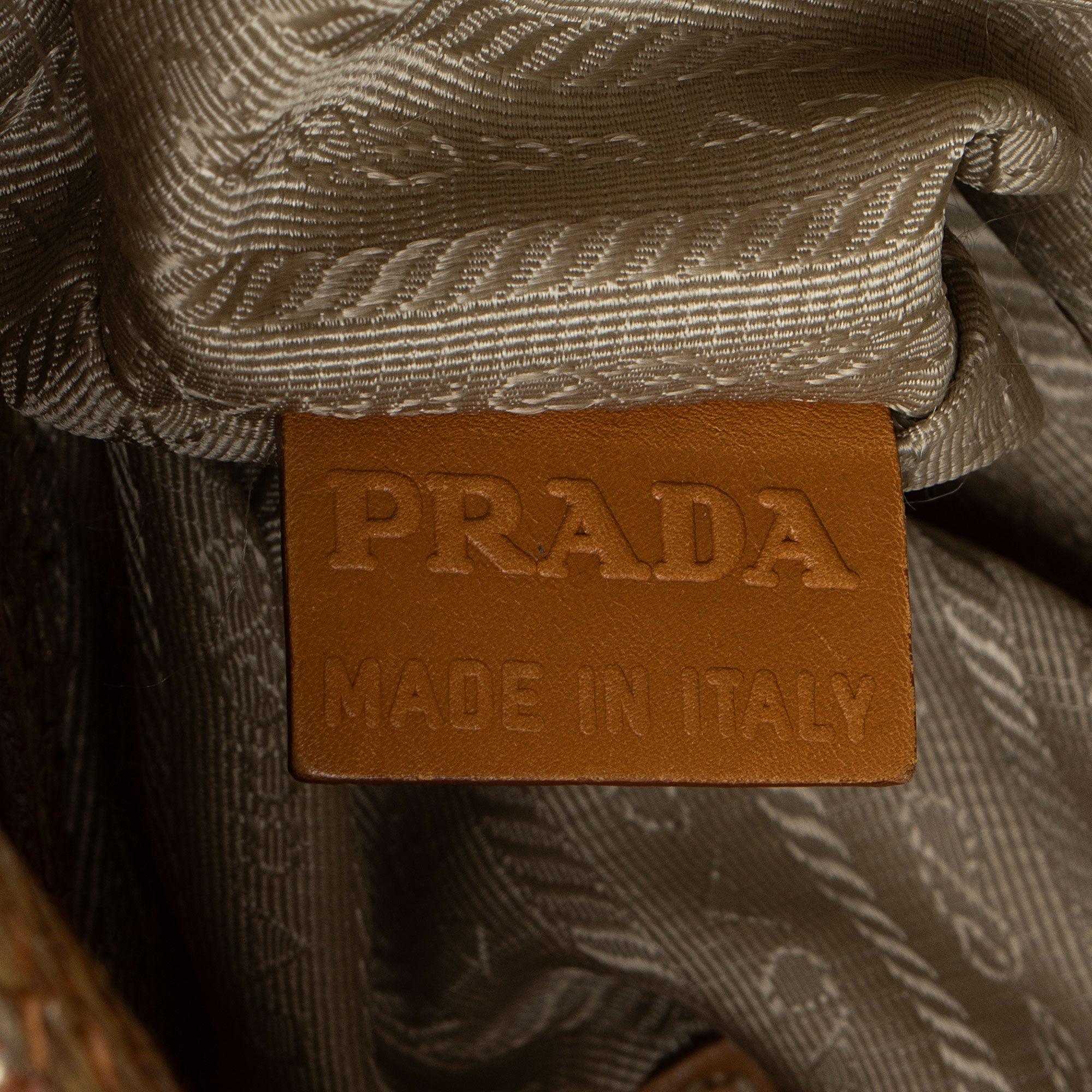 Prada Jute Metallic Python Hobo