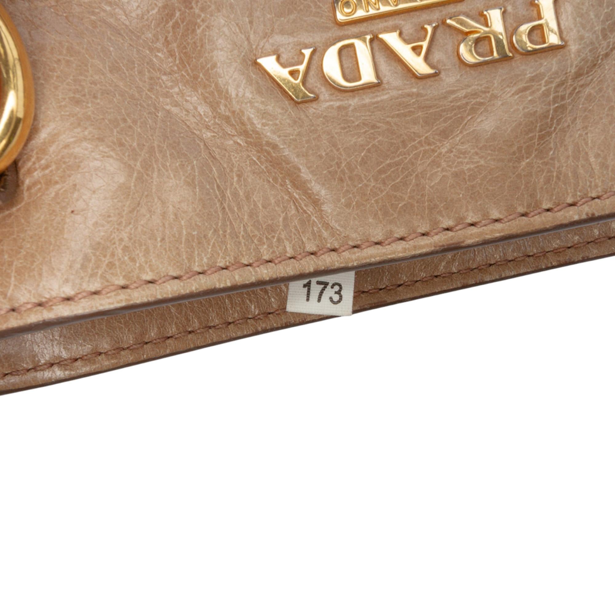 Prada Vitello Shine Satchel