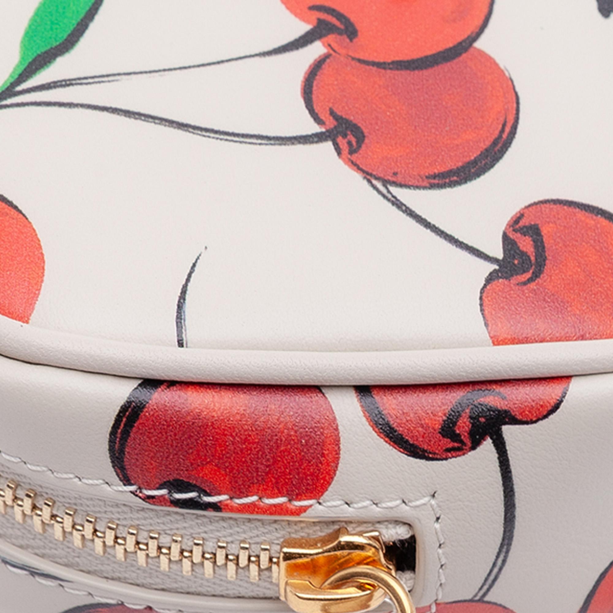 Saint Laurent Baby Calfskin Monogram Cherry Printed Lou Camera Bag