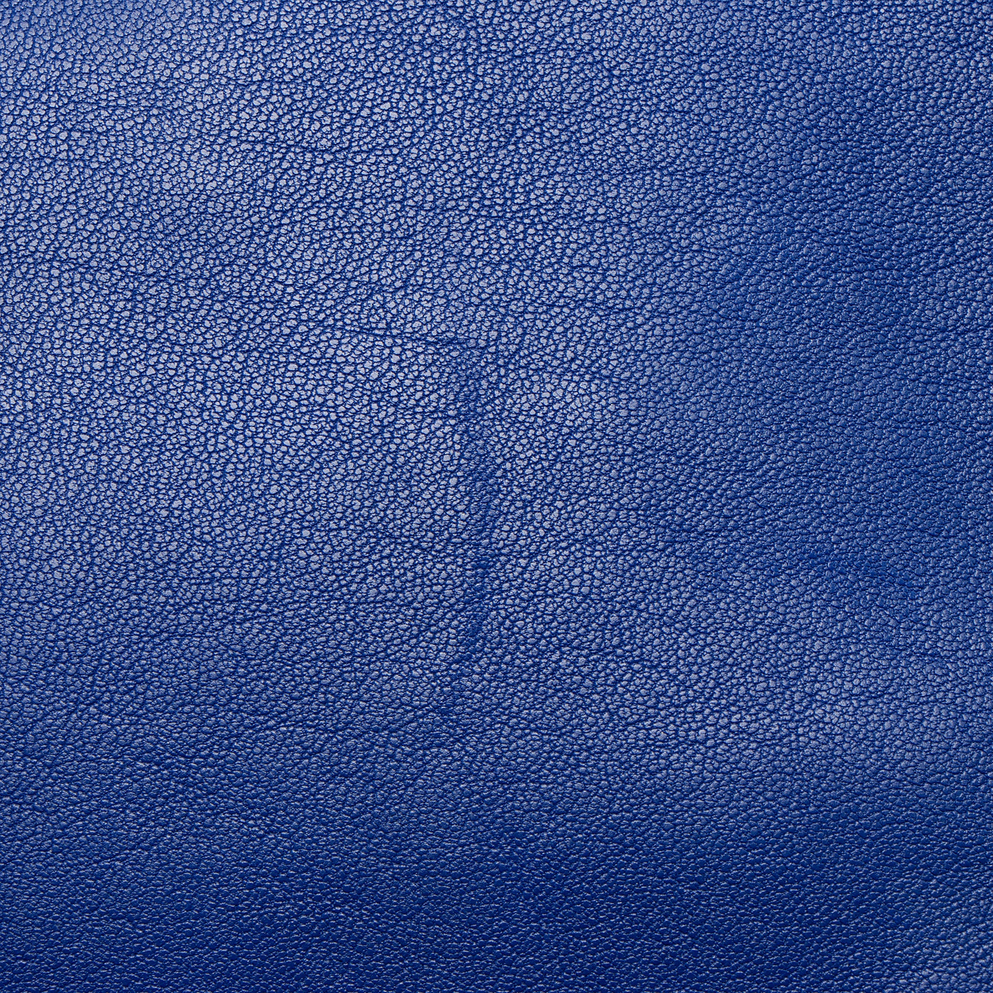 Saint Laurent Calfskin Monogram Lou Camera Bag