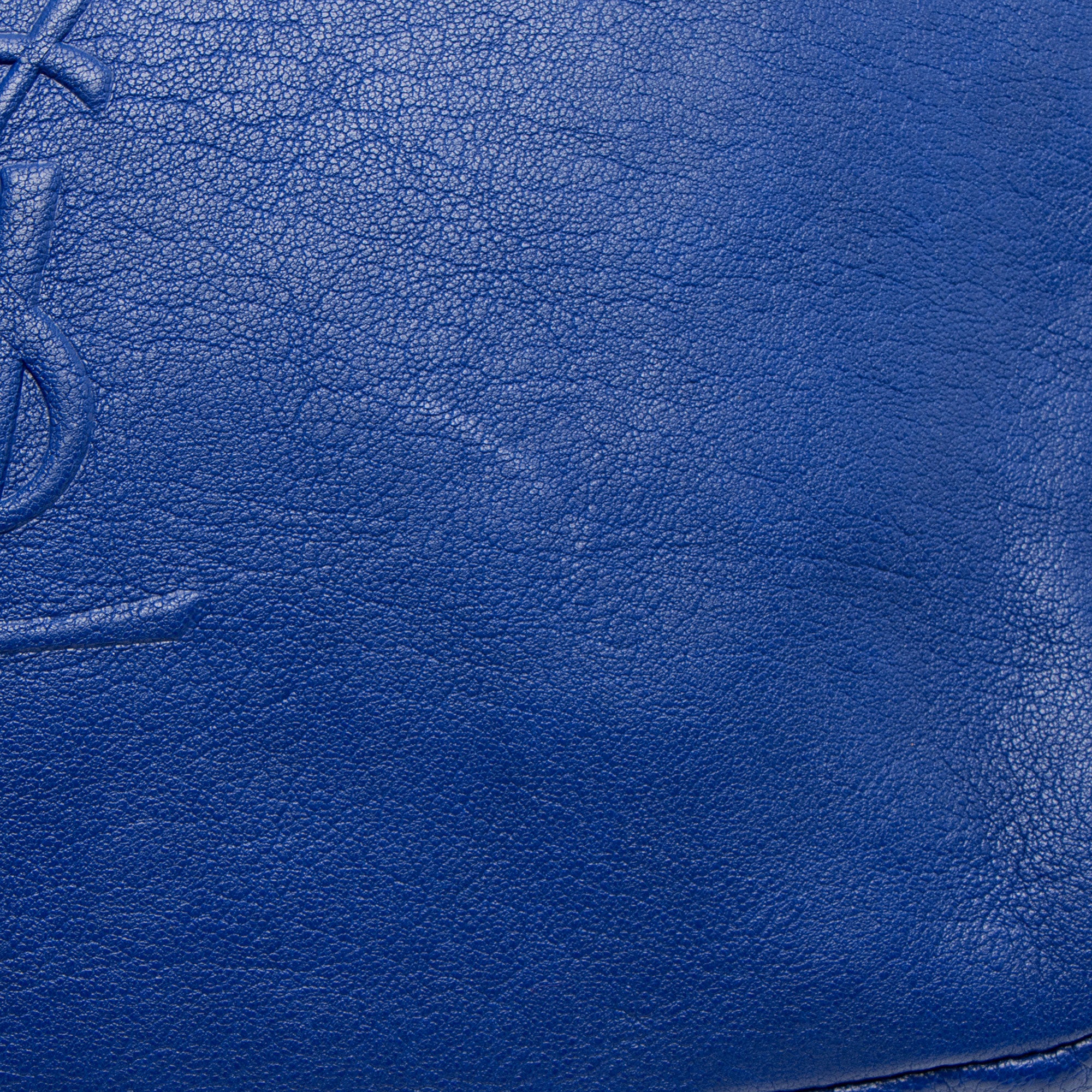 Saint Laurent Calfskin Monogram Lou Camera Bag