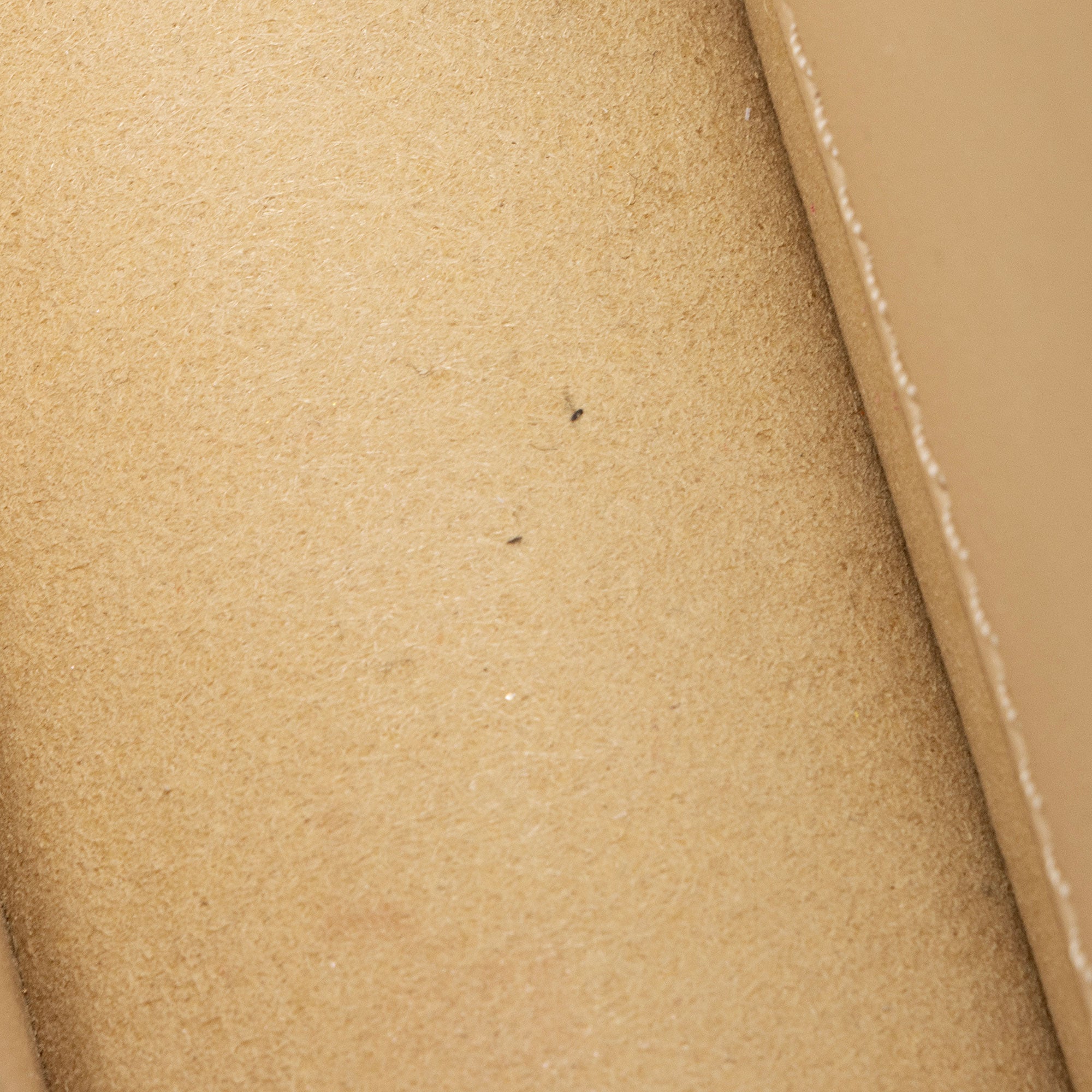 Tory Burch Leather Basket-Weave Small Flap Shoulder Bag (SHF-2WOJ4u)