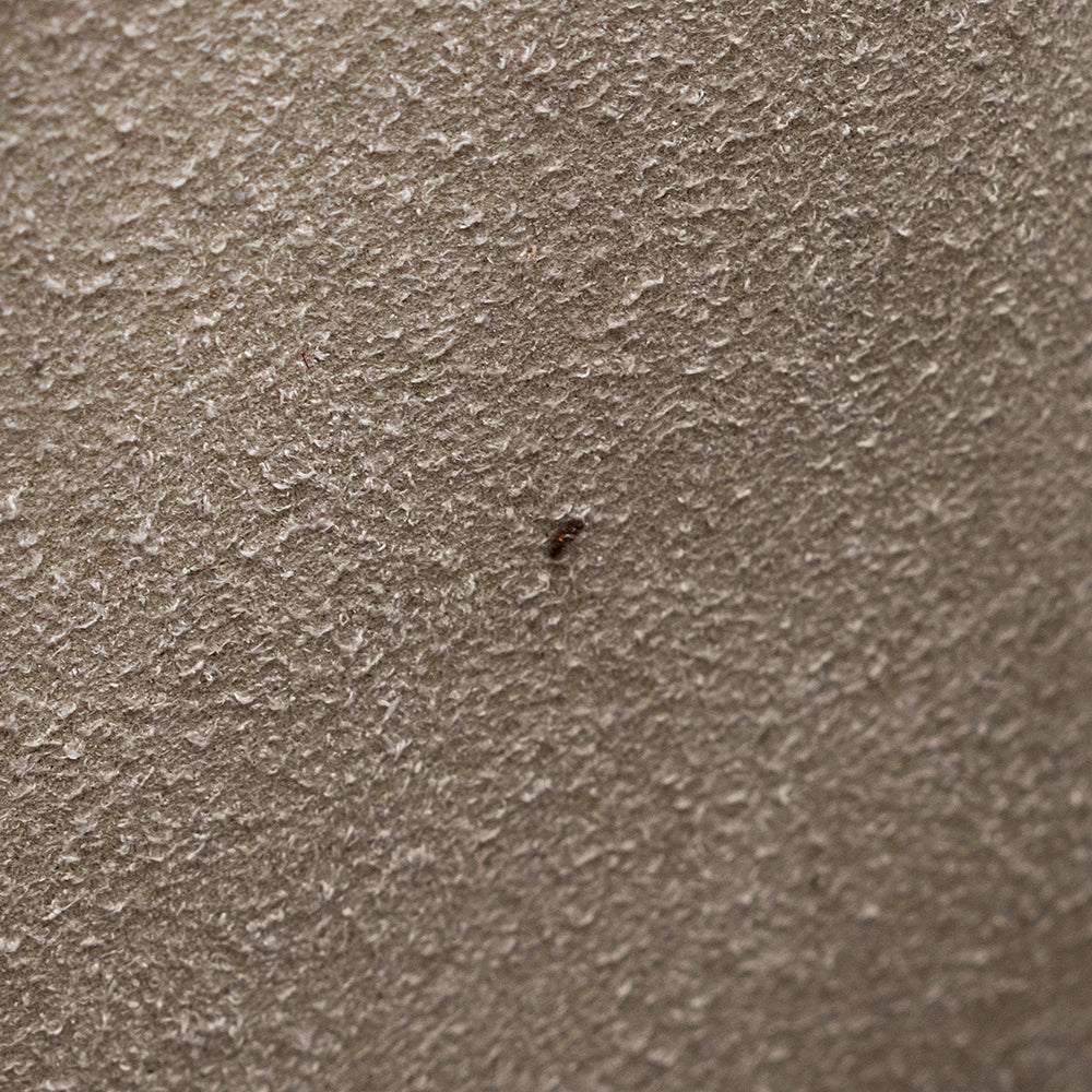 Anya Hindmarch Leather Satchel (SHF-20640)